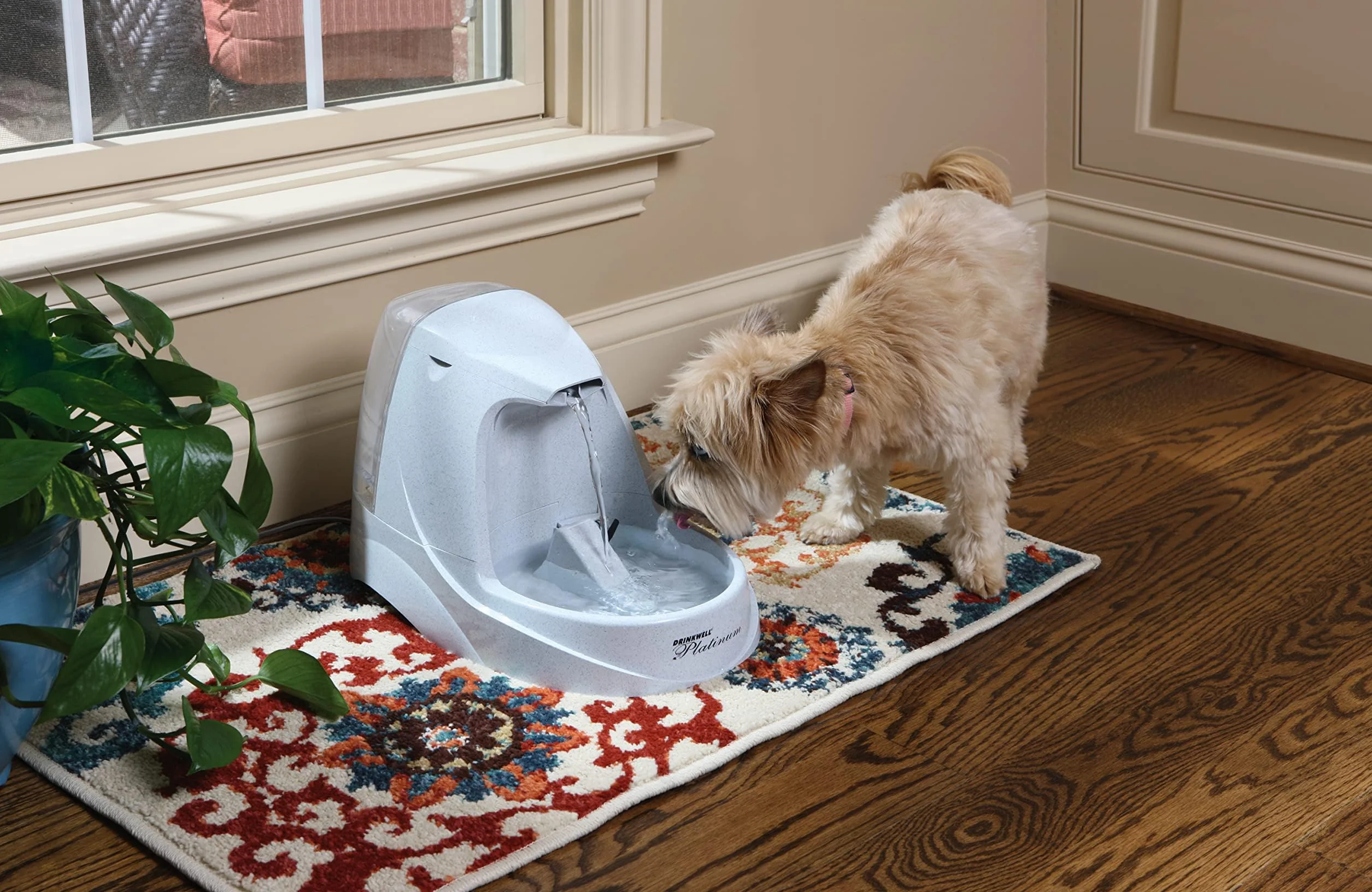 PetSafe Drinkwell zapasowa pompa do fontanny dla zwierząt, Drinkwel Platinum i Drinkwell Original