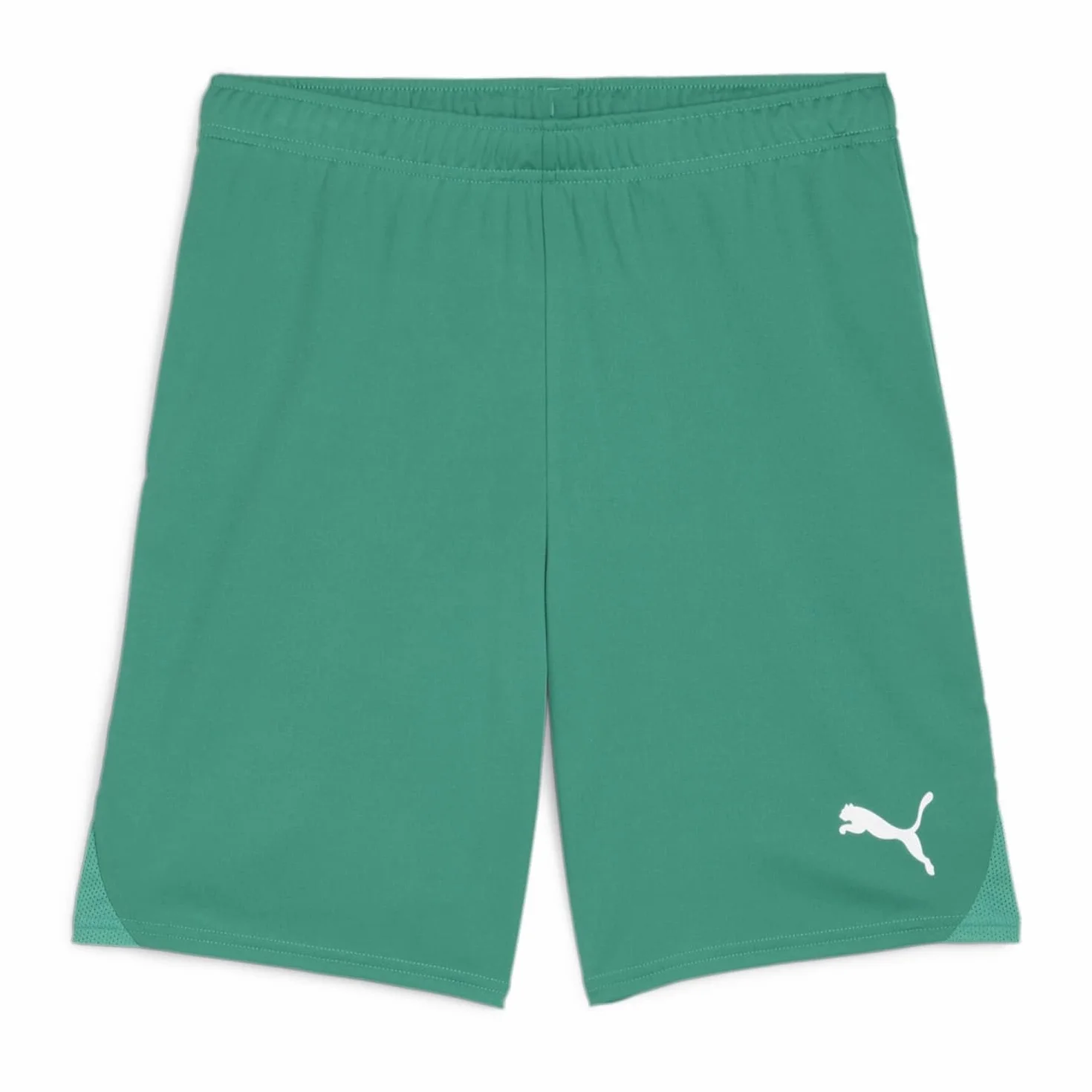 PUMA Spodenki Teamgoal Jr - Szorty z dzianiny Uniseks
