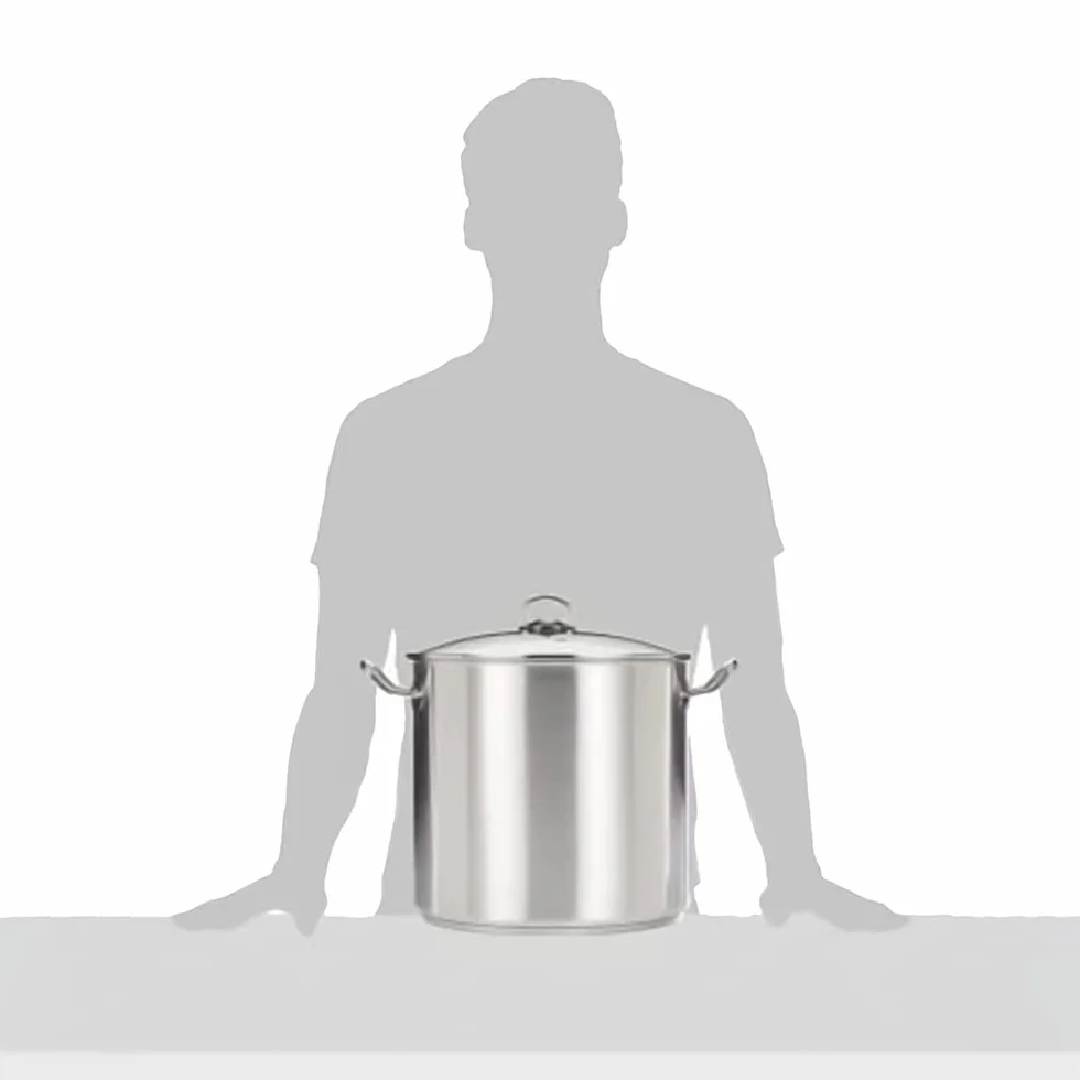 Garnek ze szklaną pokrywką 30 x 28 cm 20 l stal nierdzewna srebrny 30 cm 2 sztuki