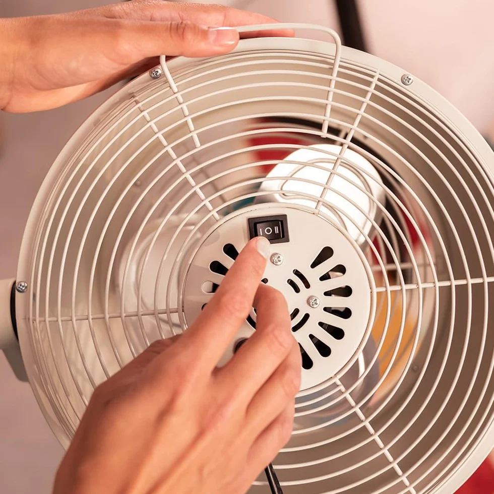 Cecotec - Wentylator sufitowy EnergySilence 250 ClassicStyle - 25 W, 10 wskaźników, 3 łopatki aerodynamiczne, regulowane nachylenie, 2 prędkości, elegancki wygląd