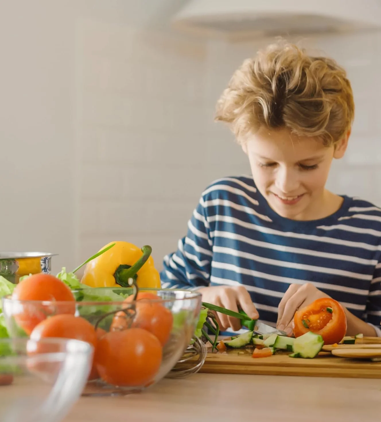 Solingen Nóż stołowy, 6 sztuk, wyprodukowano w Niemczech, nóż do warzyw, nóż uniwersalny, szlif falisty | nóż do owoców, nóż kuchenny (brązowy)