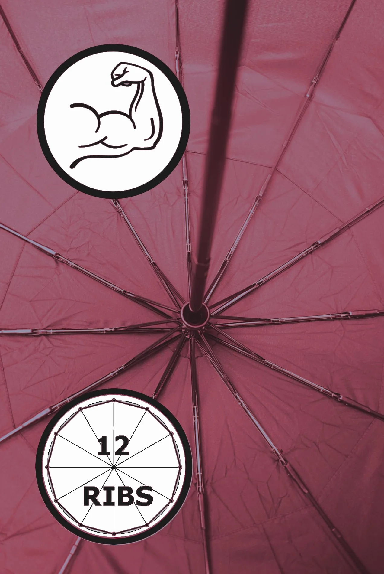 COLLAR AND CUFFS LONDON - Rzadki kompaktowy parasol z 12 żebrami, 4 dodatkowe dla wytrzymałości - 80 km/h mocna wzmocniona wiatroszczelna rama z włókna szklanego - wentylowany baldachim - automatyczne