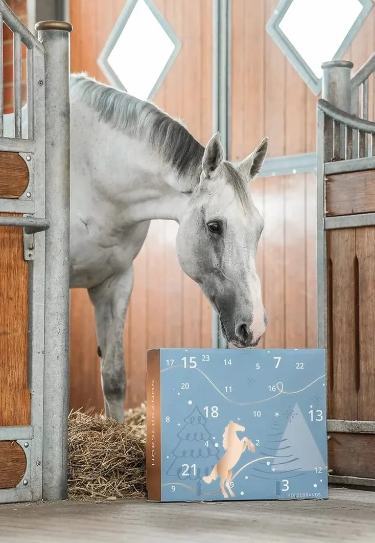 HORSE Kalendarz adwentowy Zimowe niebo 24 dni upominki dla miłośników koni niebieski