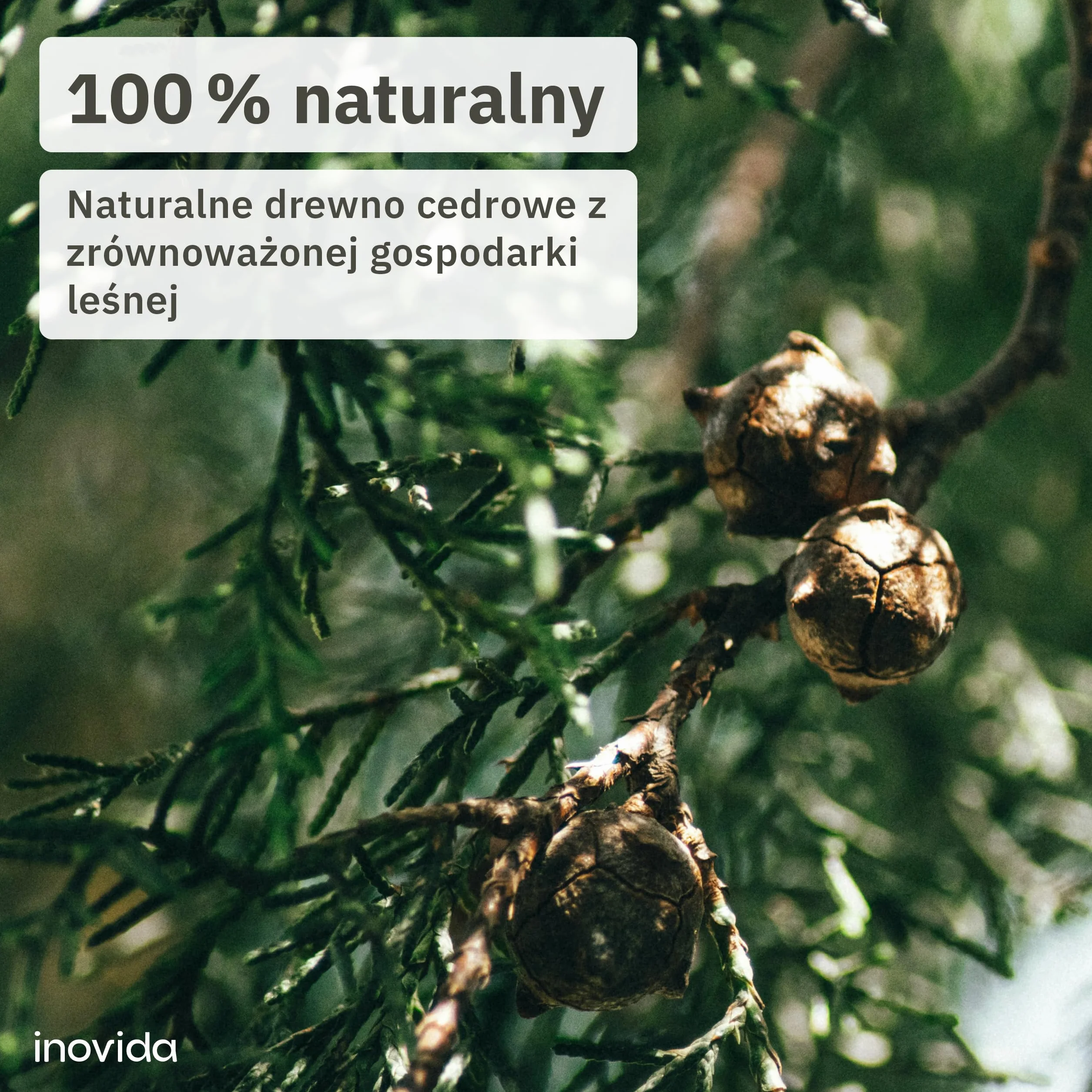 Inovida Ochrona przed molami z drewna cedrowego 16 bloków zapachowych naturalny odświeżacz do szafy