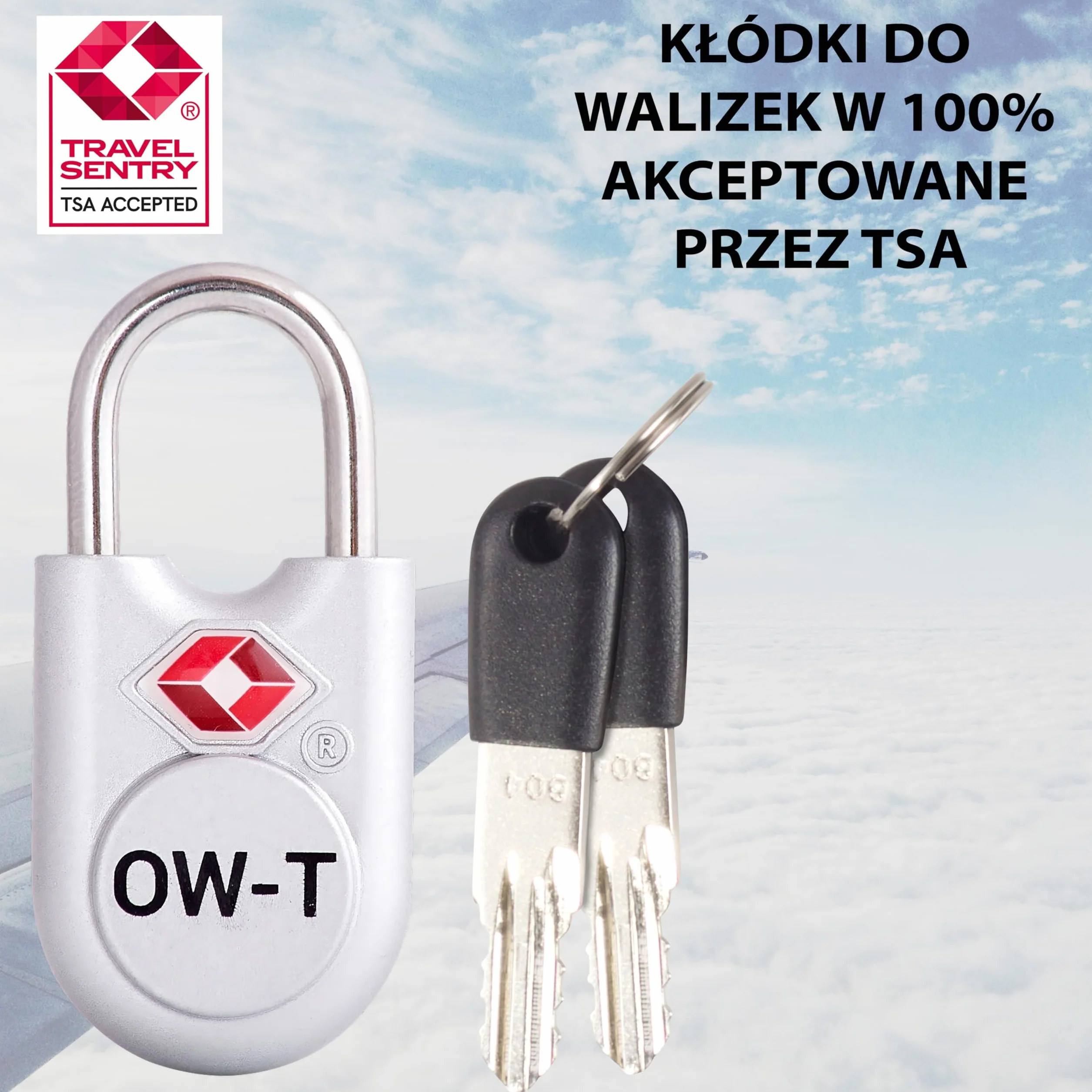 OW-Travel TSA Kłódka z Kluczykiem ​(Zestaw 2 Silver) Zamki Bagażowe na Klucz. Wytrzymałe Kłódki Bagażowe z Zamkiem na Klucz do Bagażu, Torby, Walizki, Plecaka, Szafki na Siłowni