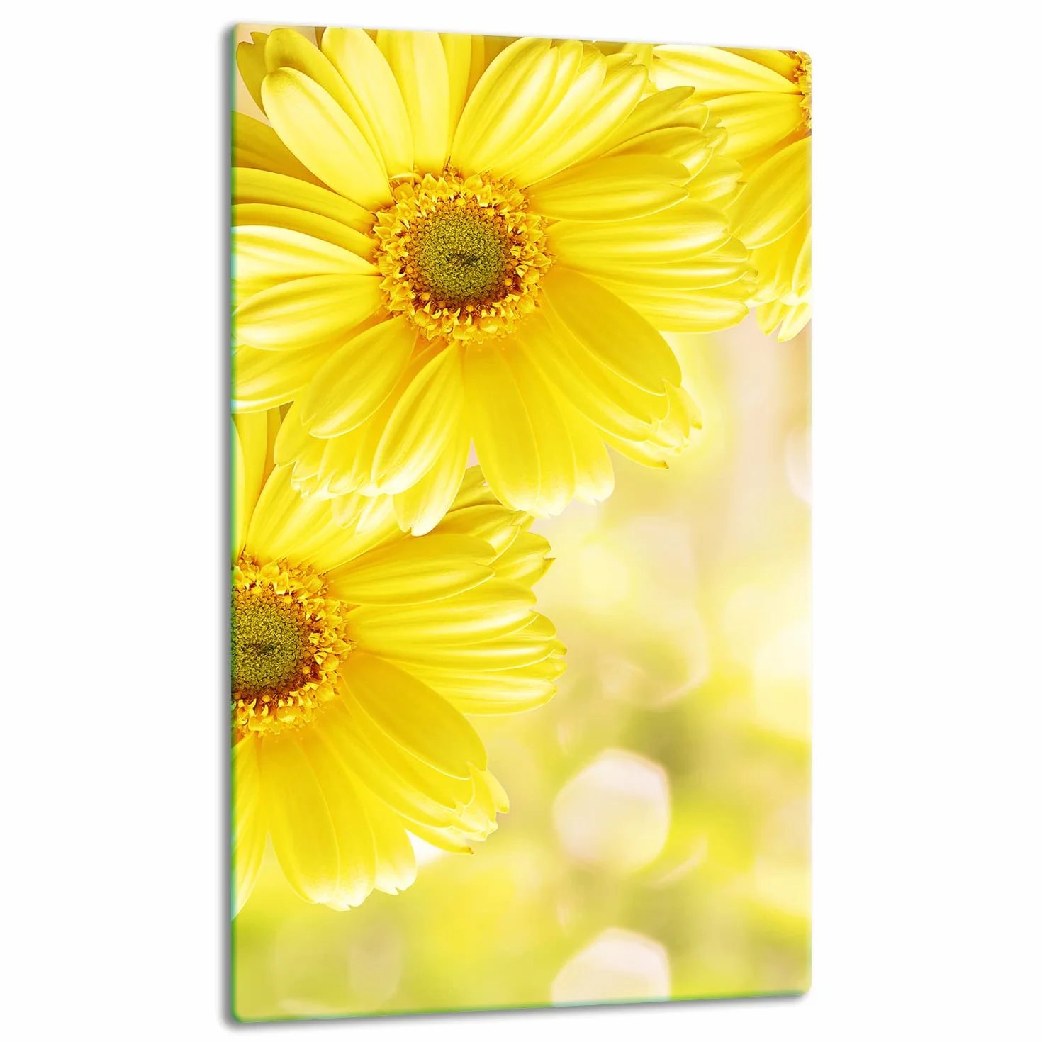 TMK szklana płyta ochronna na kuchenkę 30 x 52 cm jednoczęściowa indukcyjna ochrona przed pryskaniem