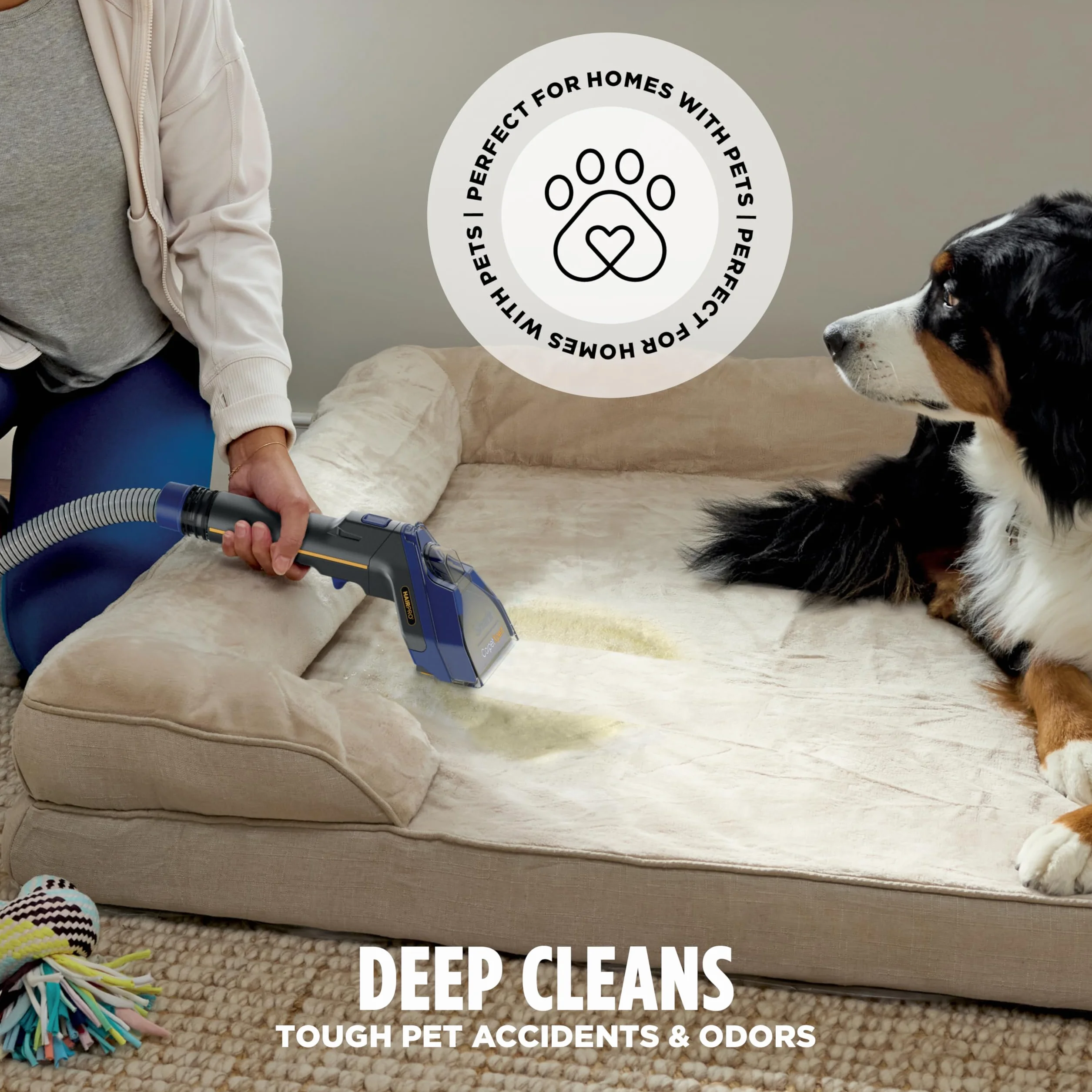 Shark CarpetXpert HairPro EX251BRN zestaw do czyszczenia dywanów i tapicerki, głębokie czyszczenie, usuwanie plam