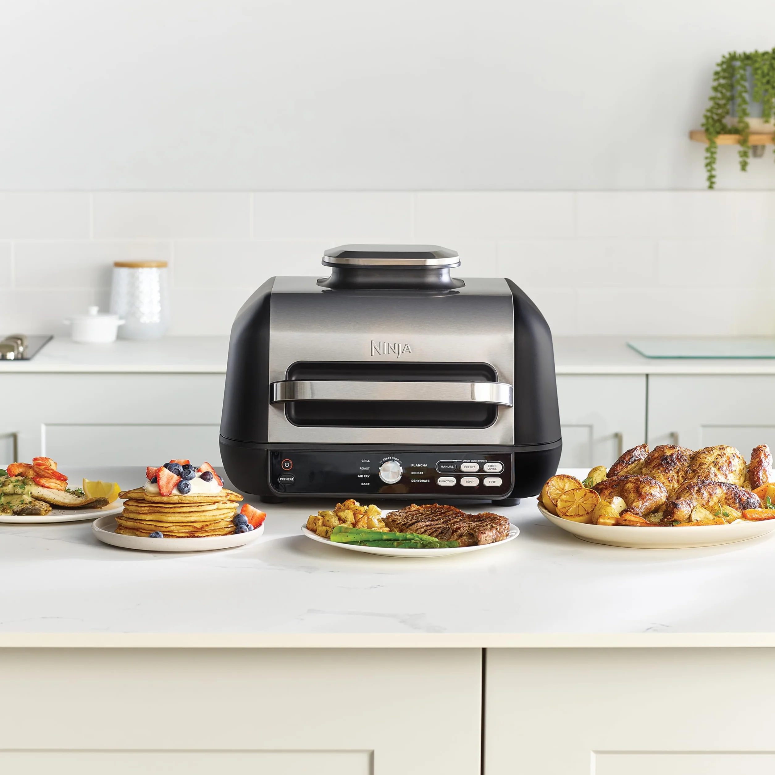 Ninja Foodi MAX PRO Grill, płaska płyta i frytkownica beztluszczowa z cyfrową sondą kuchenną i termometrem, 3,8 l, 7 funkcji gotowania w 1, części można myć w zmywarce, srebrno/czarny, AG651EU