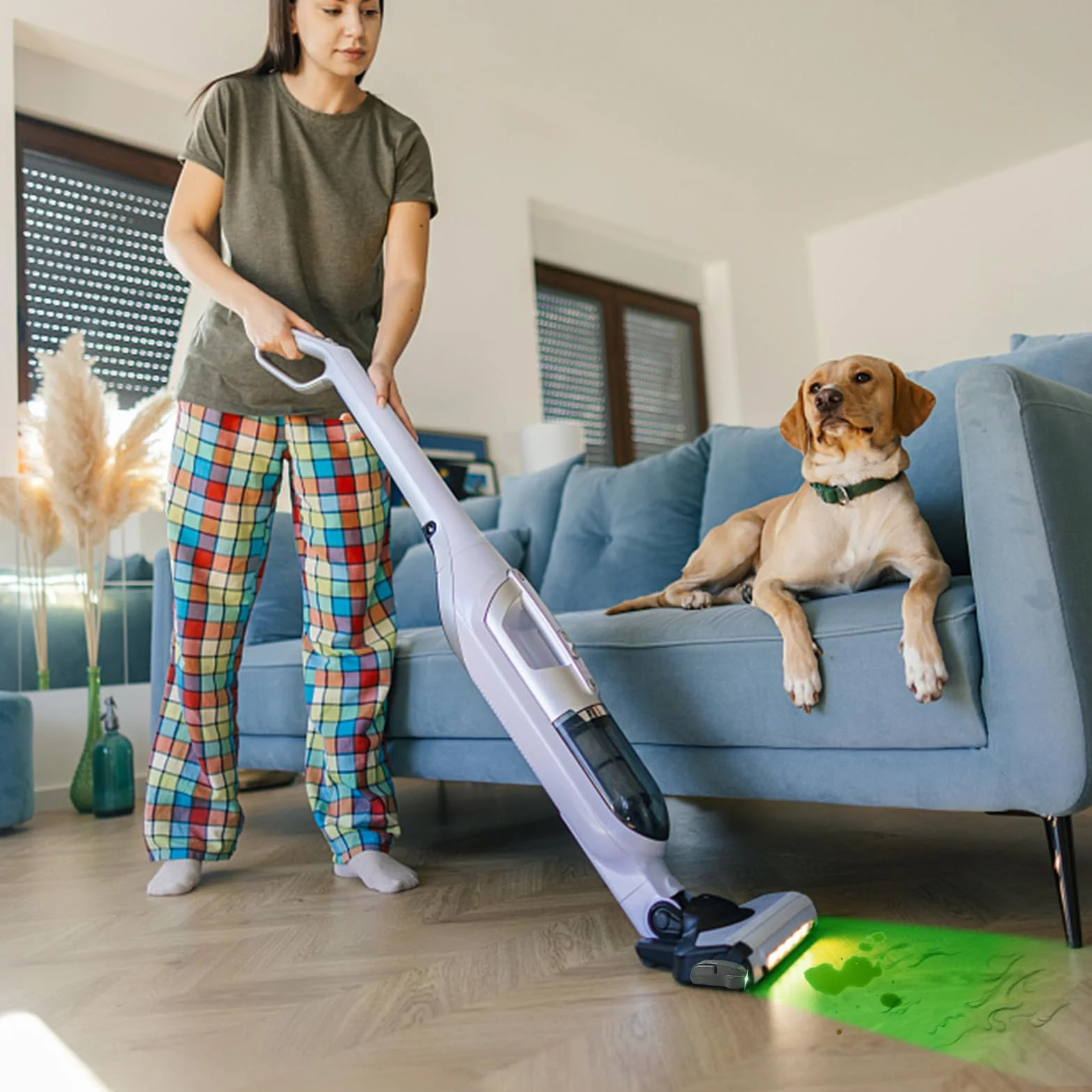 Odkurzacz świetlny, 2 sztuki laserowych diod LED, czyste i ukryte, do domu, biura, sklepu zoologicznego