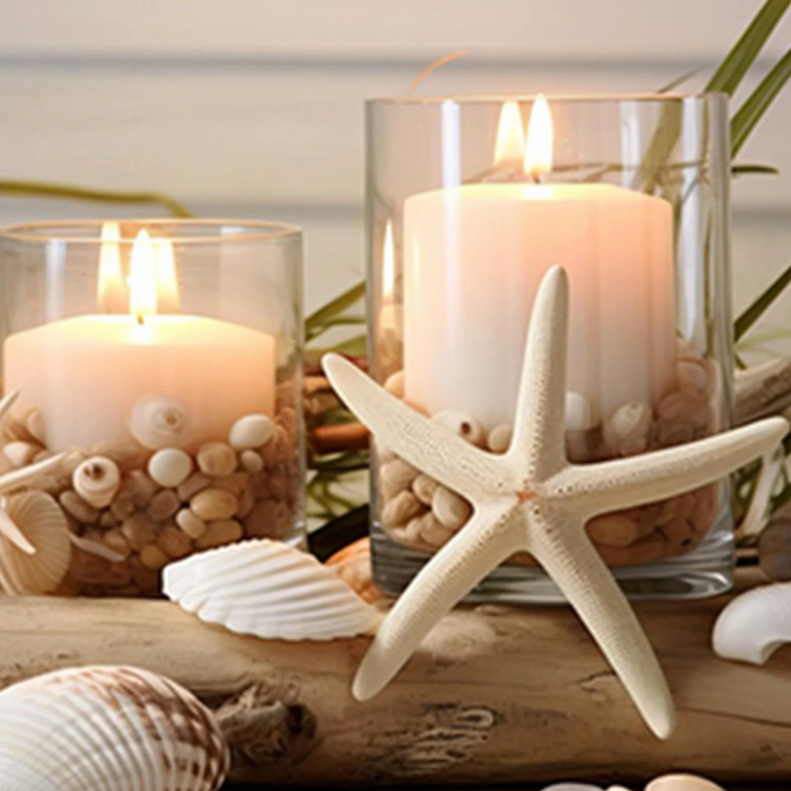 Dekoracja muszli, mieszane pudełko na muszle, muszle do majsterkowania, muszle plażowe, rozgwiazda, 340 g, na imprezy plażowe, rozproszenia stołu, dekoracja domu, rękodzieło DIY, produkcja
