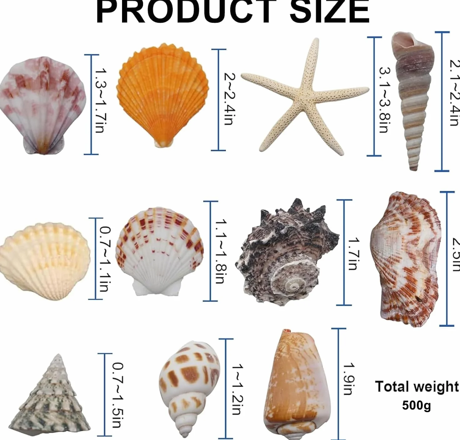 Dekoracja muszli, mieszane pudełko na muszle, muszle do majsterkowania, muszle plażowe, rozgwiazda, 340 g, na imprezy plażowe, rozproszenia stołu, dekoracja domu, rękodzieło DIY, produkcja