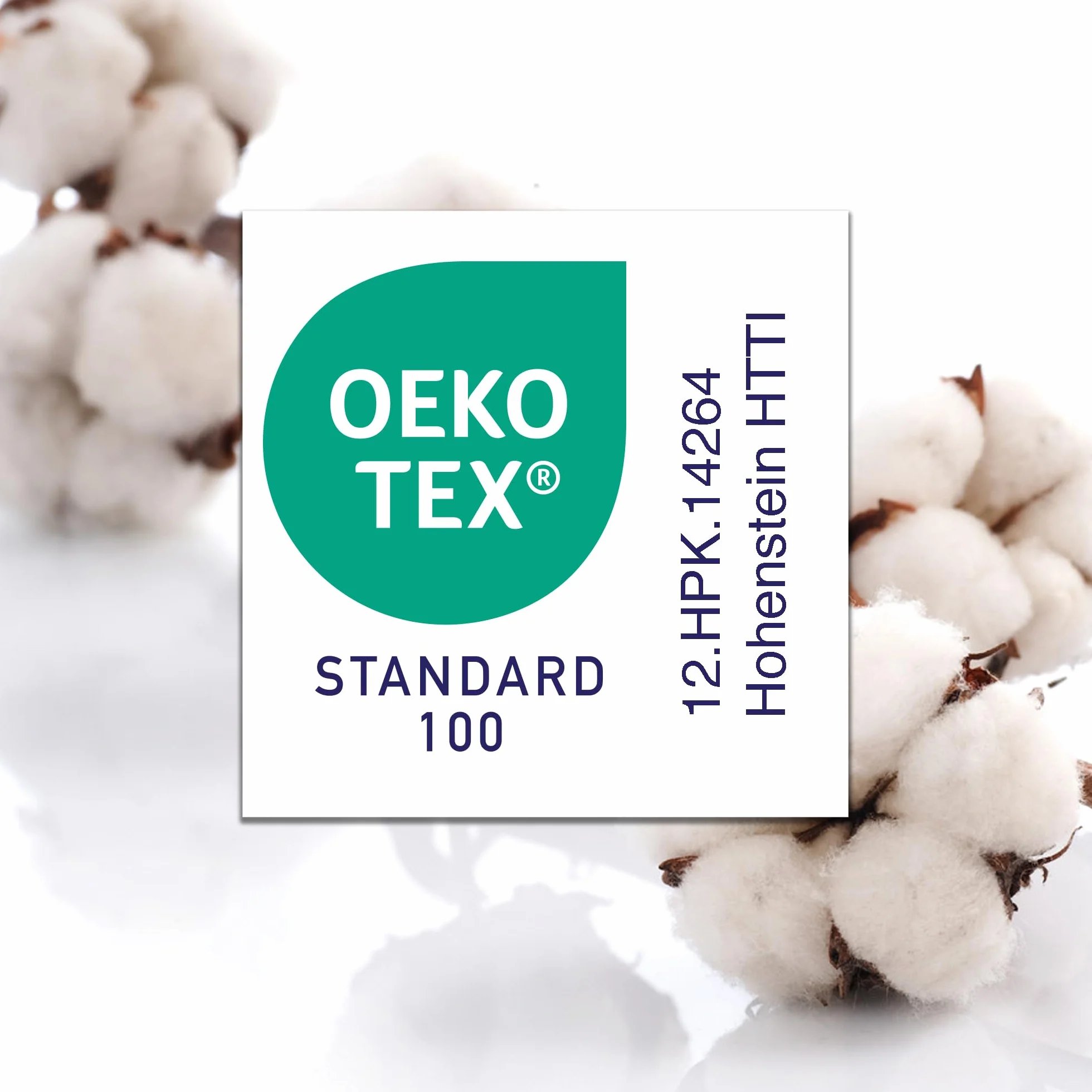 Barbons Prześcieradło z gumką do łóżeczka 100% bawełna jersey OEKO-TEX Standard 100 60x120cm 70x140cm