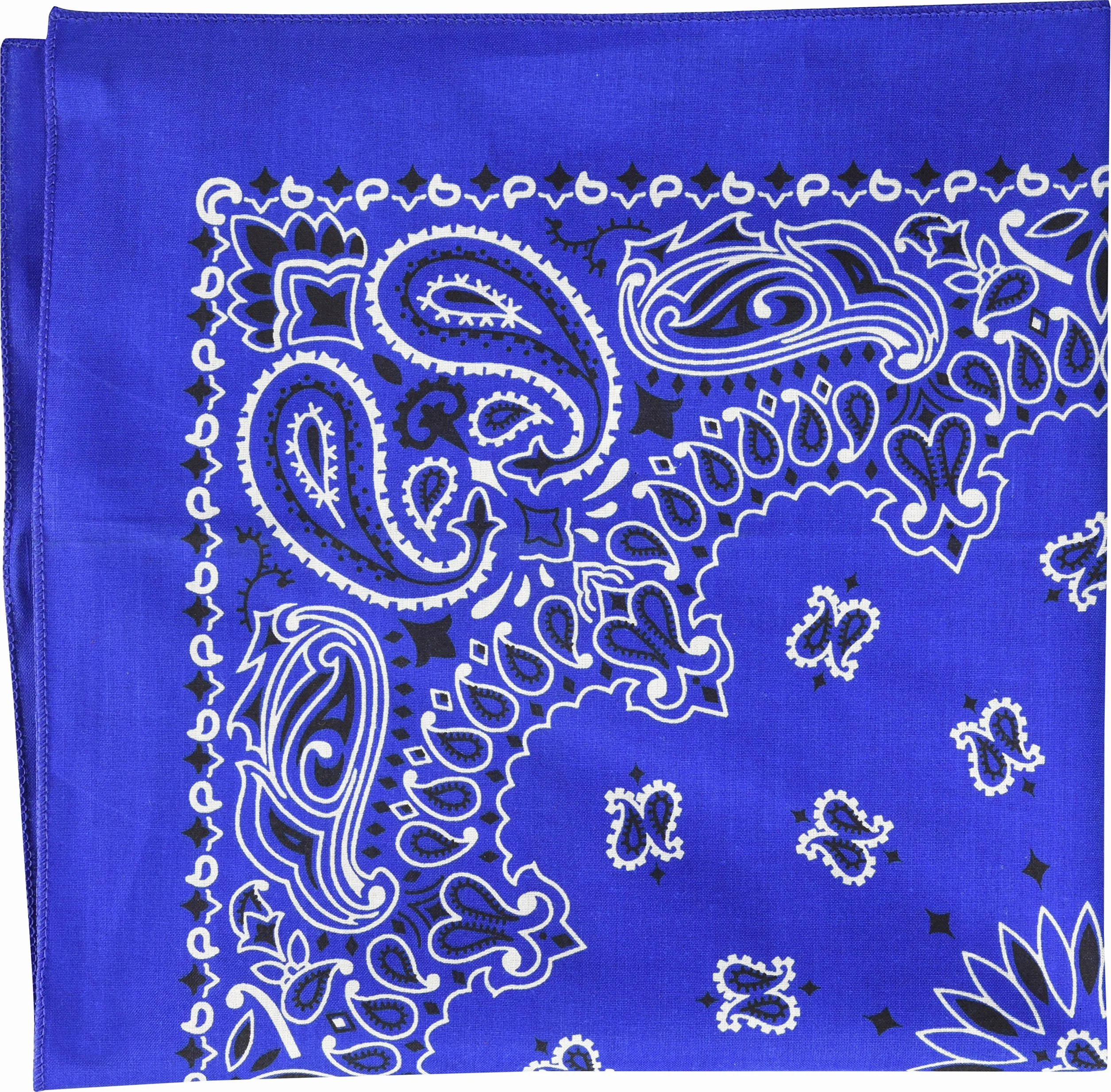 Carolina Have, A, Hank Paisley bandanas, 22 cale by 22-Inch, Royal