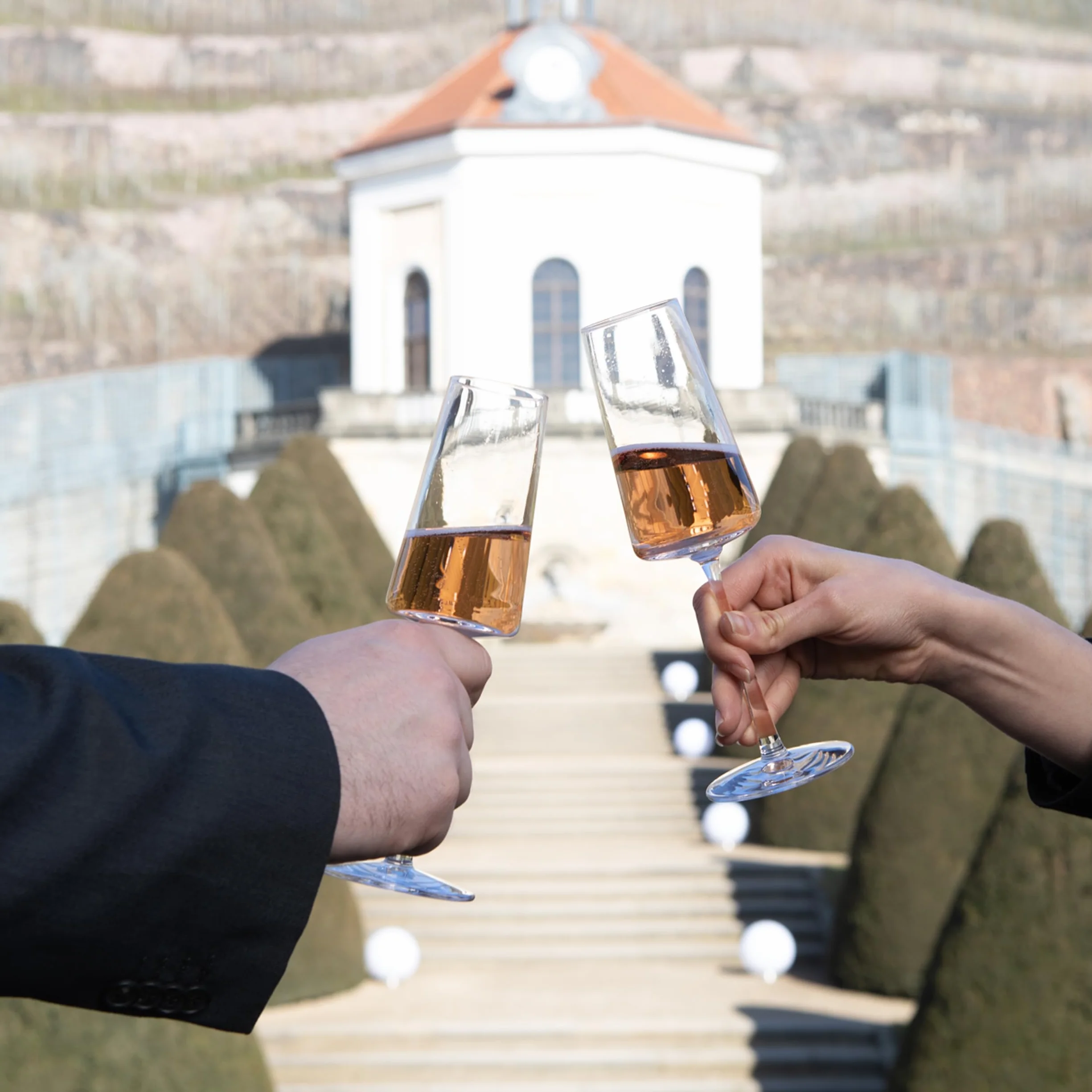 Kieliszki do Szampana Stölzle Lausitz Power 6 sztuk, 240ml – Eleganckie Kieliszki z Kryształu Idealne do Prosecco i Win Musujących – Wysoka Jakość Niemiecka – Odporne i Nadające się do Zmywarki