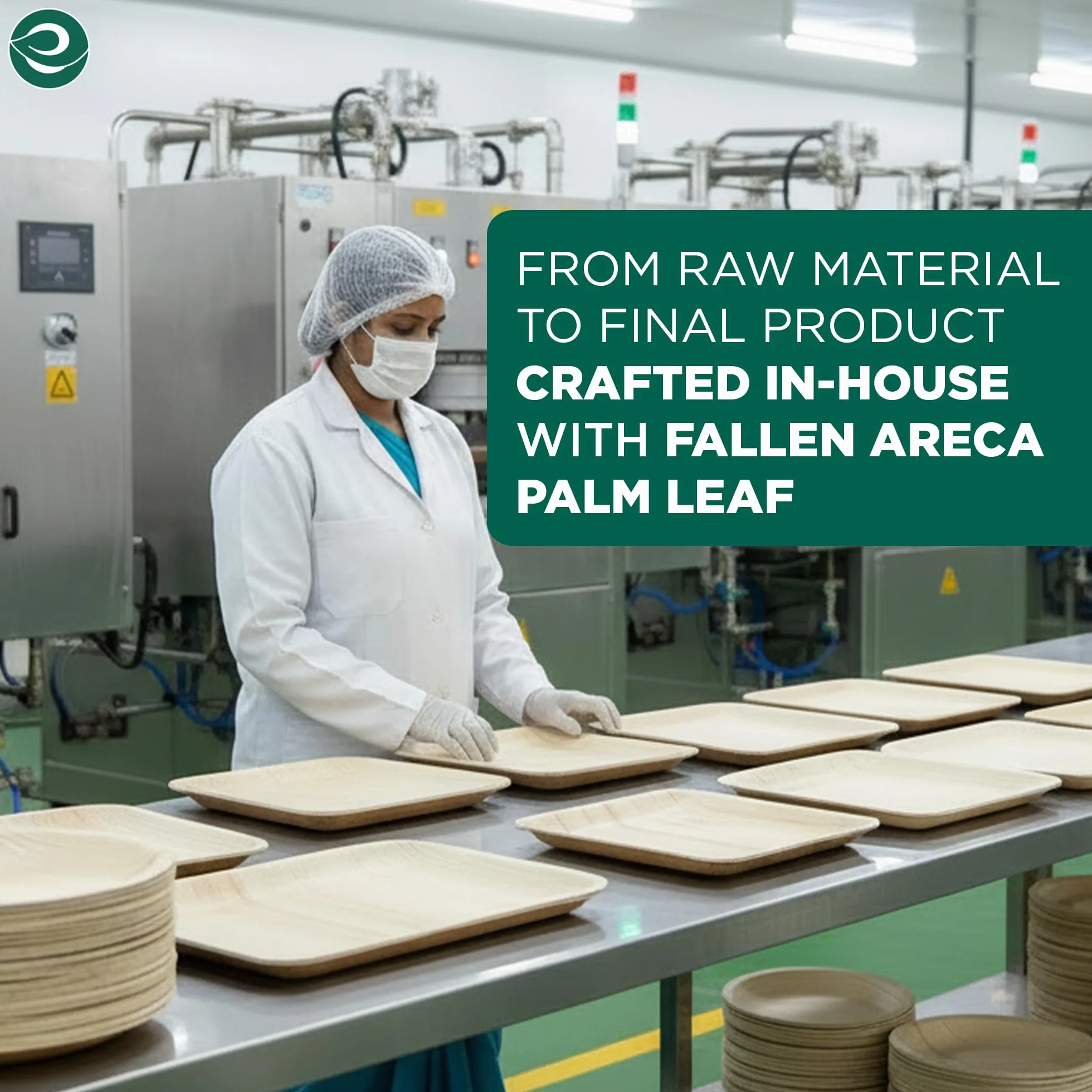 ECO SOUL W 100% kompostowalna okrągła płytka z liści palmowych 50 sztuk biodegradowalne talerze jednorazowe