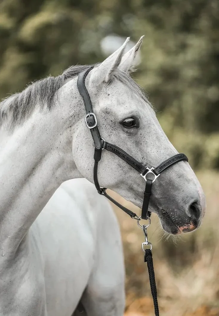 HORSE Kalendarz adwentowy Zimowe niebo 24 dni upominki dla miłośników koni niebieski