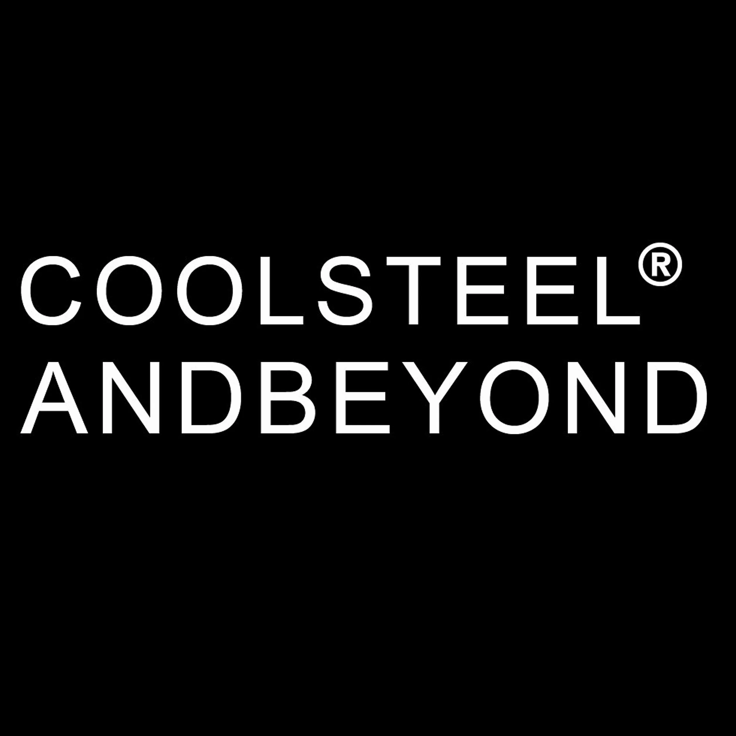 COOLSTEELANDBEYOND Męski damski złoty kolor słoń wisiorek naszyjnik ze stali nierdzewnej ze stalowym łańcuszkiem kulkowym 60 cm, Stal nierdzewna, nie dotyczy