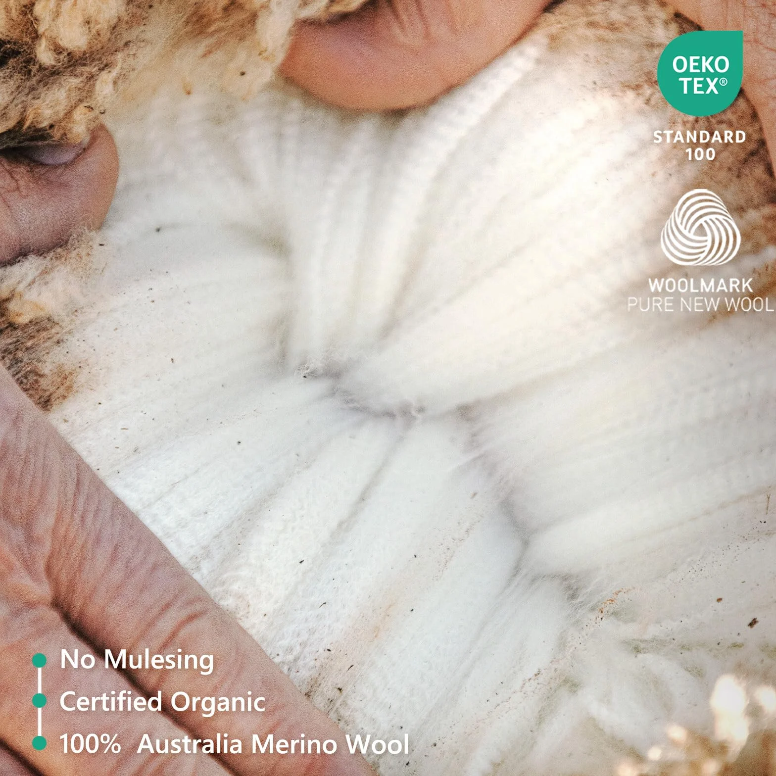 Merino Protect 100% Męskie Spodnie Termiczne Z Wełny Merynosowej Ciepła Podstawa Miękkie Ciężkie Materiały Nadające Się Do Polowania I Wędrówek