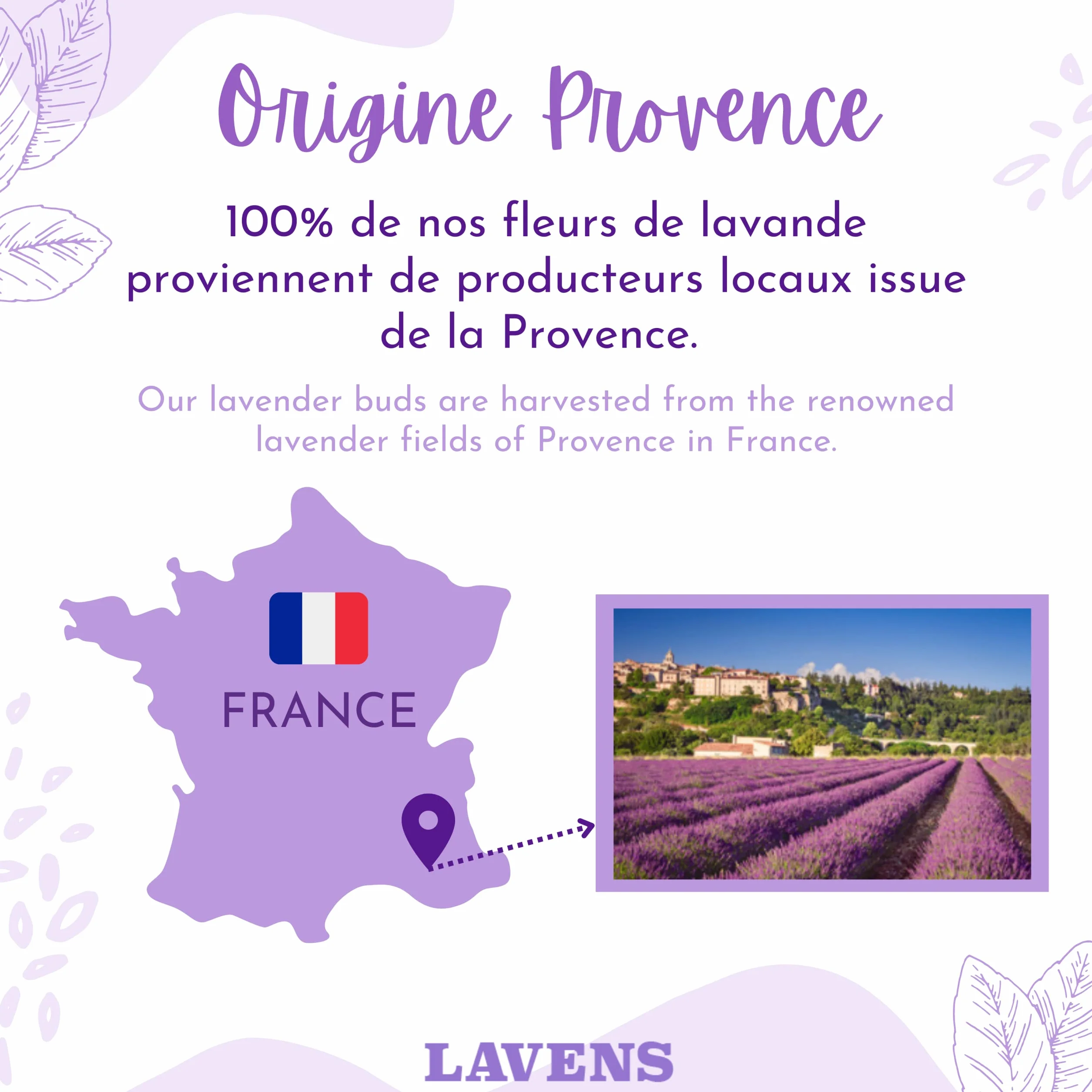 LAVENS Suszone kwiaty lawendy | 100% francuski | 250 g + 10 woreczków z organzy gratis suszona lawenda, idealna do pachnących woreczków lawendowych i potpourri. Jakość premium i intensywny zapach.