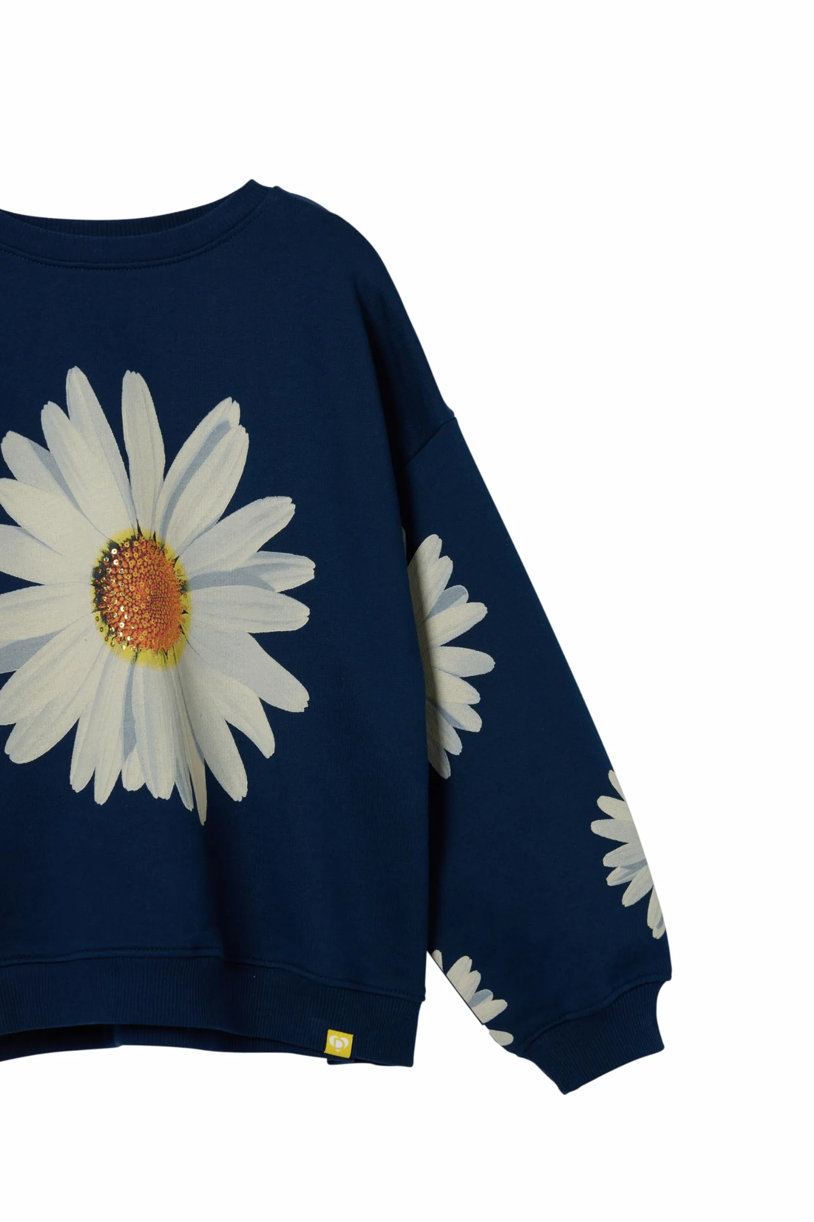 Desigual Bluza sportowa Dziewczynki Sweat_cailin