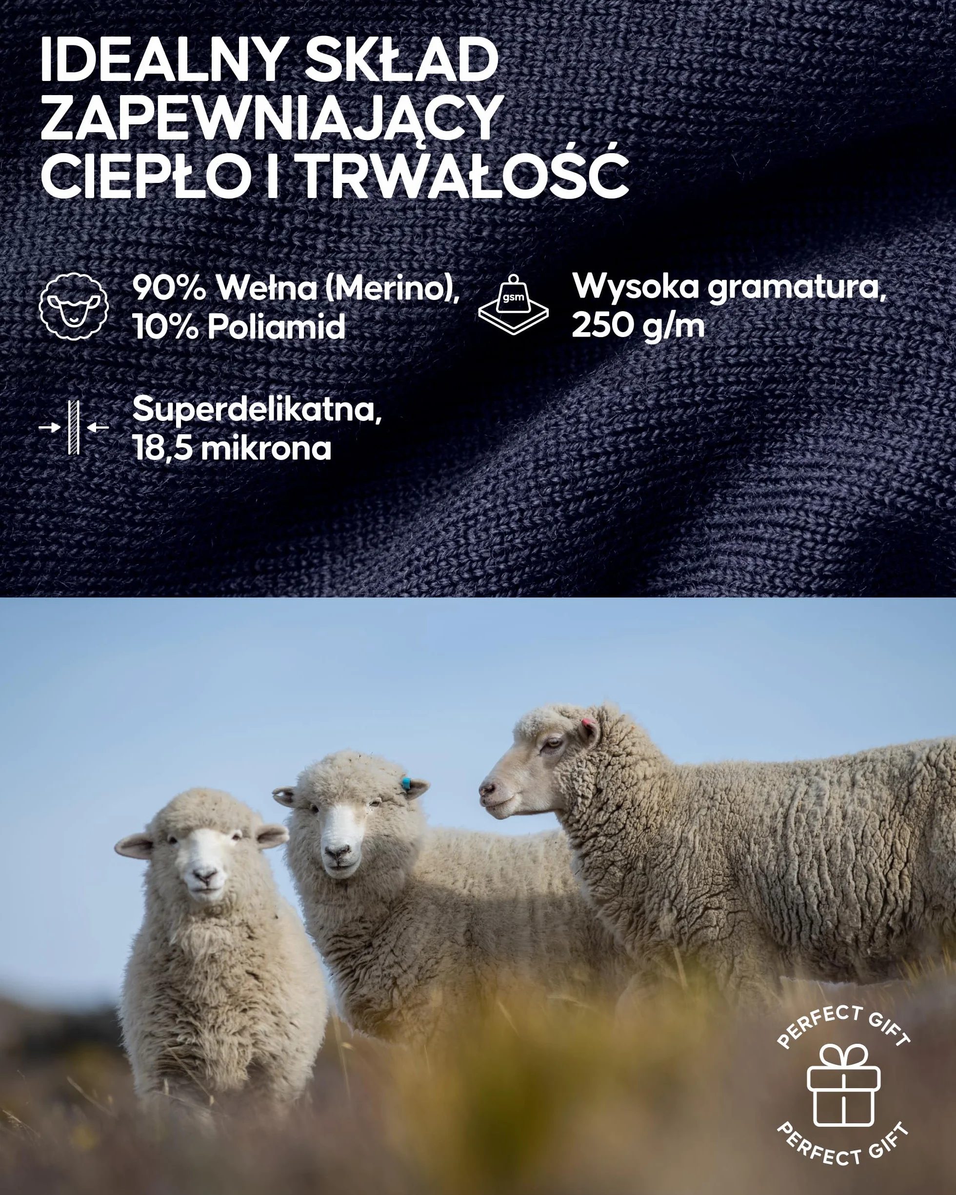 DANISH ENDURANCE Długie Spodnie z Wełny Merino dla Mężczyzn na Ekstremalne Zimno, Legginsy Termiczne na Zimę