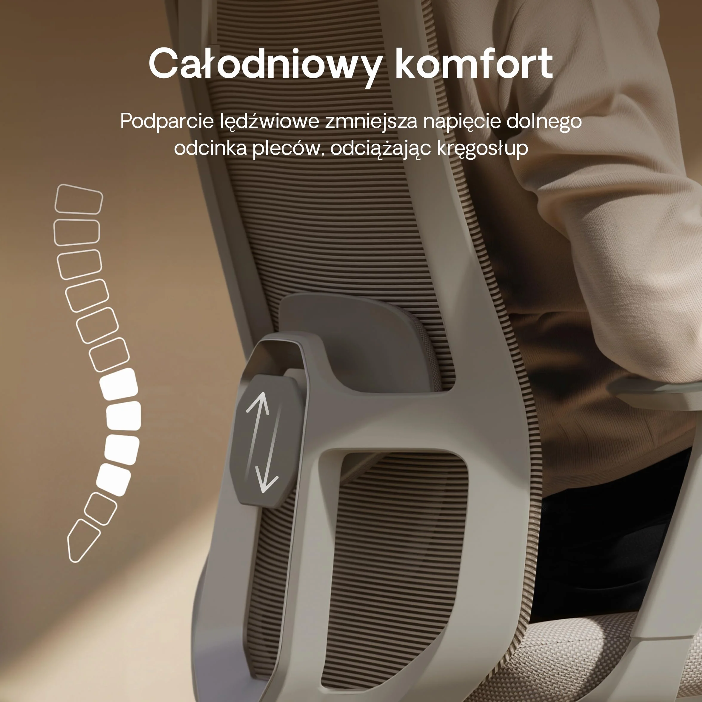 Desktronic Regulowane Ergonomiczne Krzesło Biurowe z Podparciem Lędźwiowym, Regulacja Wysokości, Oddychająca Tkanina