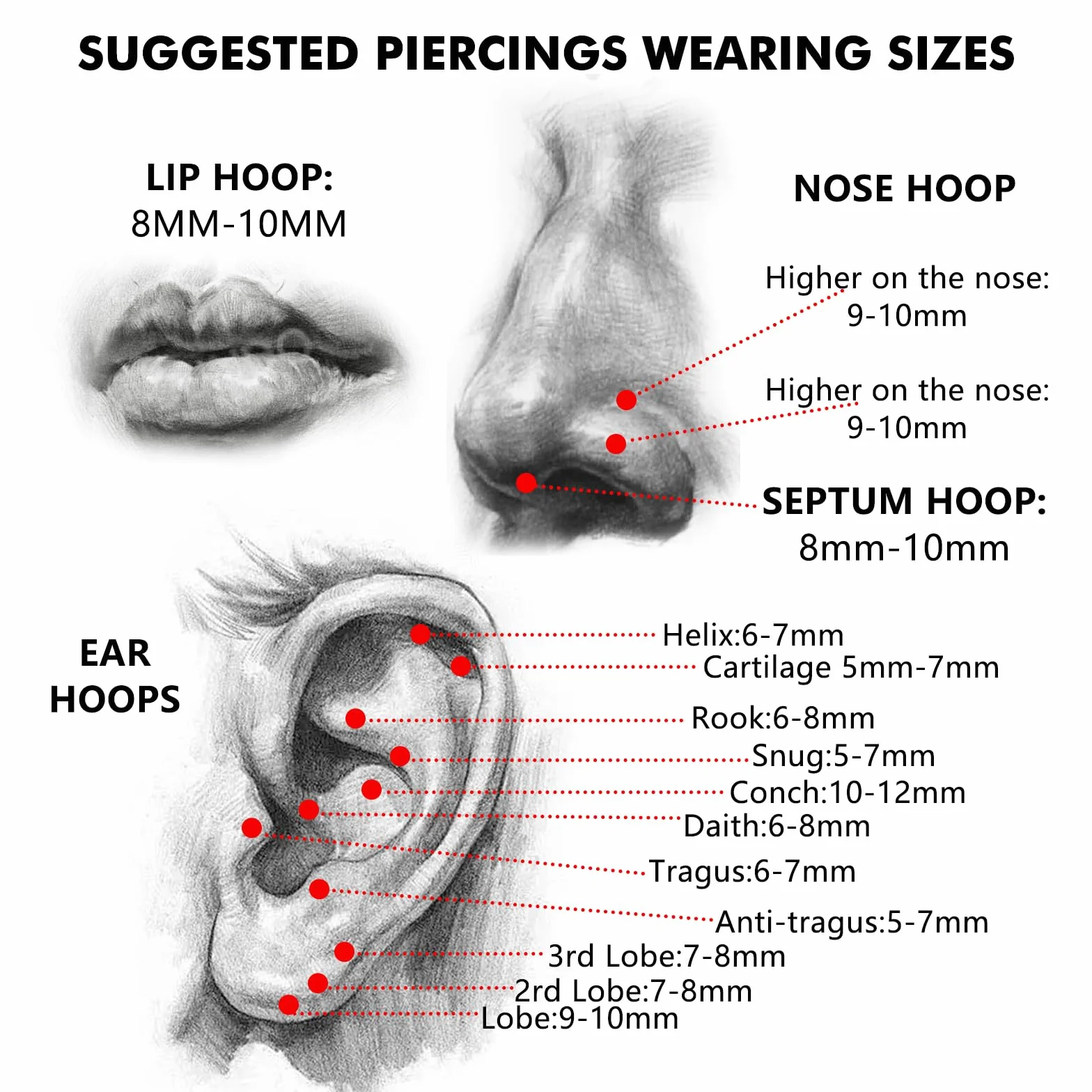 G23 Tytanowa Biżuteria do Piercingu Conch Helix Obręcz Septum Rook Tragus Piercing Kolczyk do Nosa Hipoalergiczny Zawiasowy Segmentowy Zatrzask 16G 8/10/12MM Srebrny Złoty Podwójna Obręcz