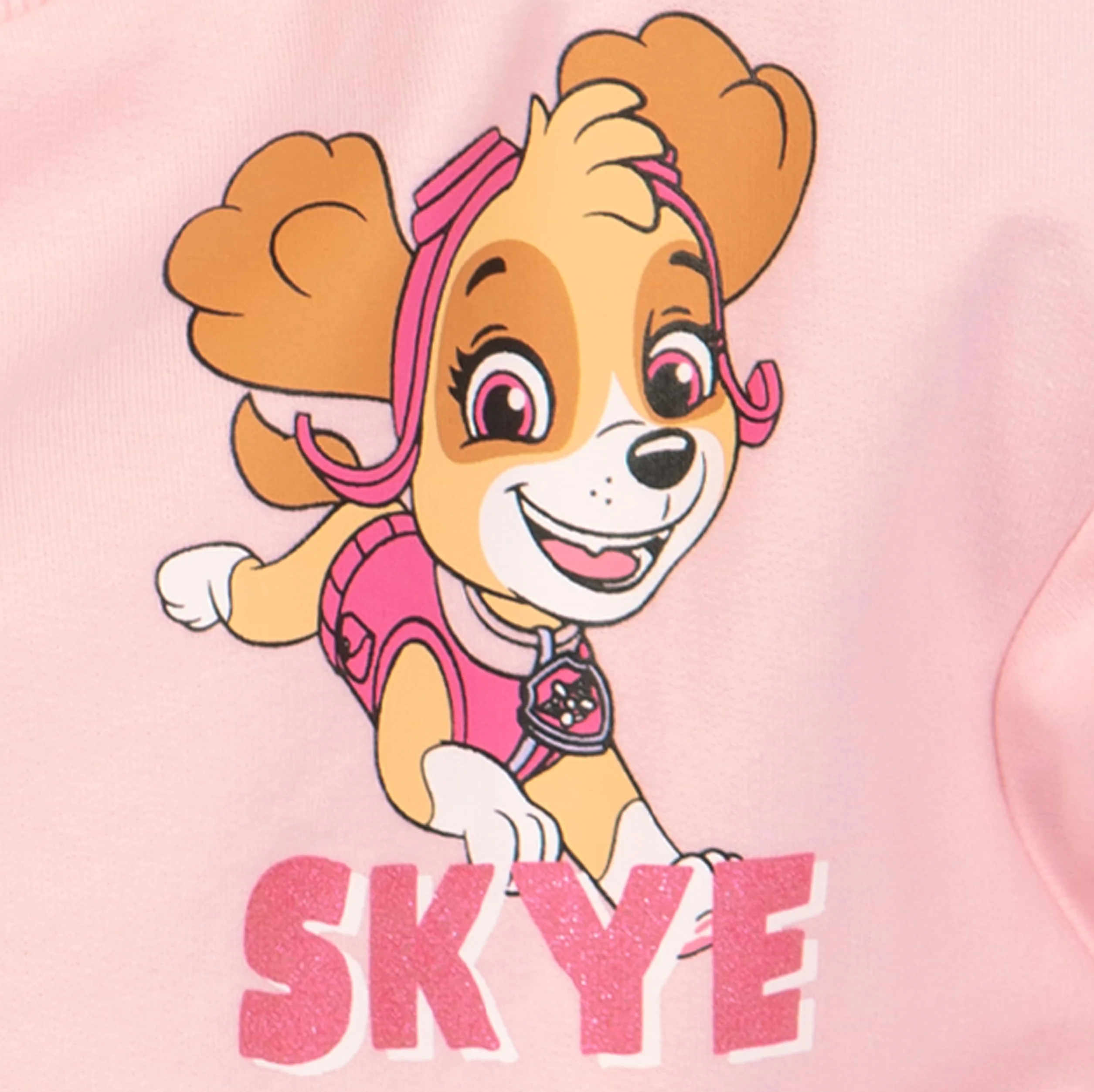PAW Patrol Bluza | Bluza dla Dziewczynki | Skye Bluzy dla Dziewczynek | Błyszcząca Bluza dla Dzieci