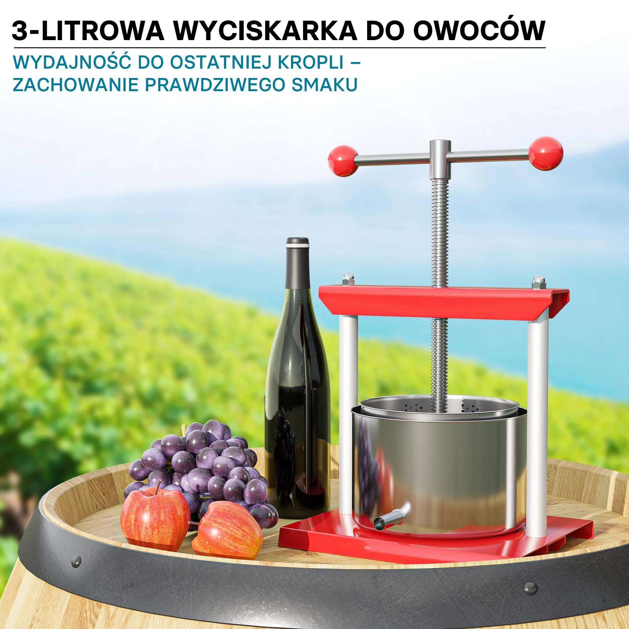 Wiltec Prasa do owoców 3 l, ręczna prasa śrubowa ze stali nierdzewnej do soków