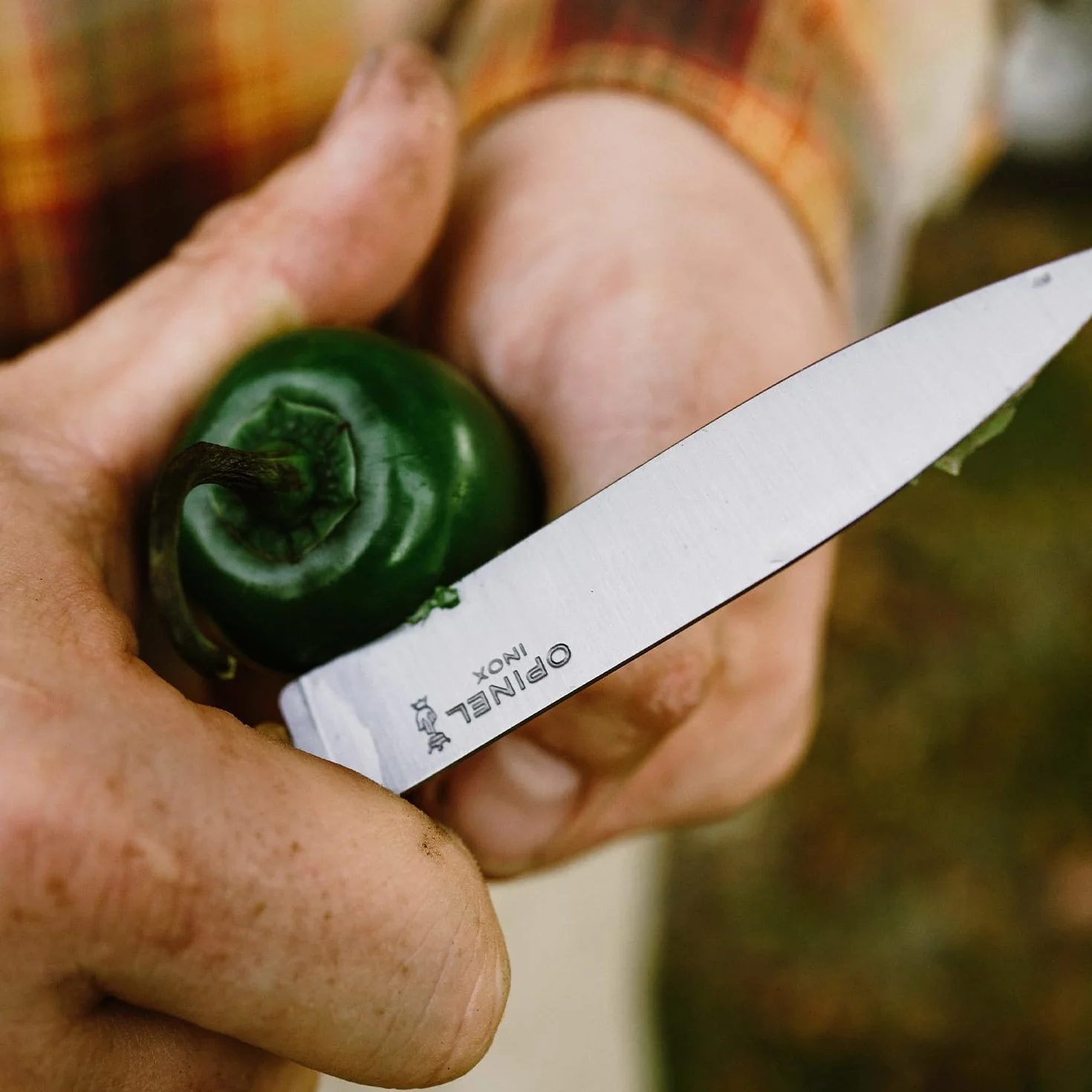Opinel Nóż stal nierdzewna 20 3 x 1,9 x 1,3 cm 1 sztuka 2040