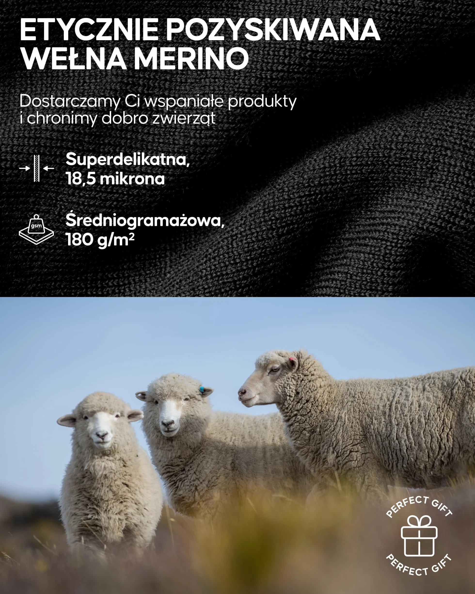 DANISH ENDURANCE Męskie Spodnie Termoaktywne Merino, Długie Legginsy Termiczne dla Mężczyzn, Kalesony Termoaktywne, z Rozporkiem lub Bez