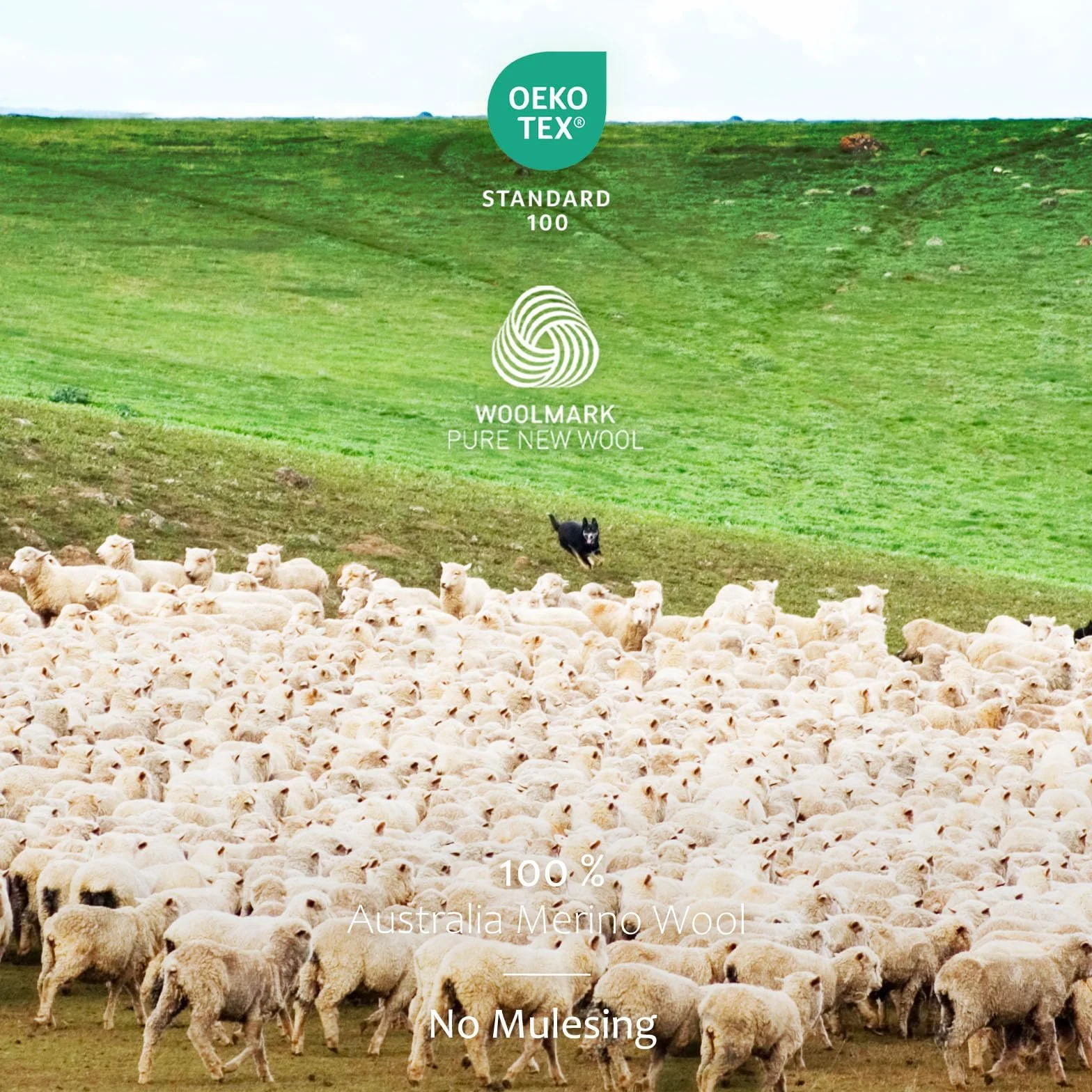 Merino Protect 100% Wełna Merino Męska Miękka Koszula Z Długim Rękawem Antyodorowa Ciepła Bielizna Wewnętrzna Odpowiednia Do Polowania I Wędrówek