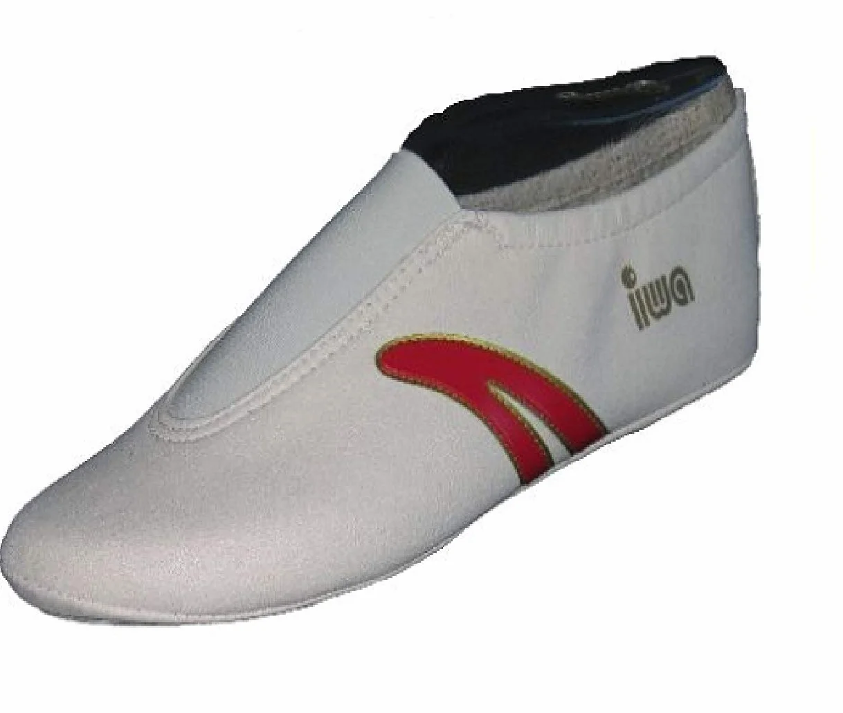 buty sportowe artystyczne IWA 402