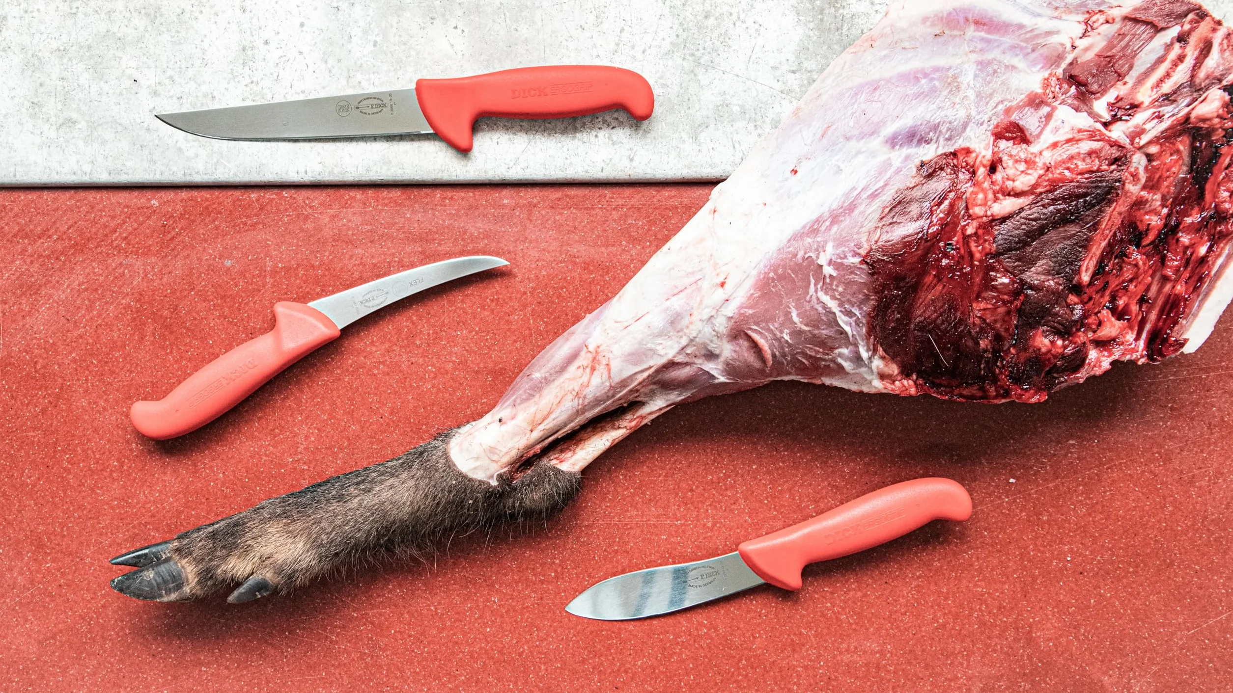 F. DICK ErgoGrip 3-częściowy zestaw noży Jagd Indoor 13 cm 18 cm HRC 56°