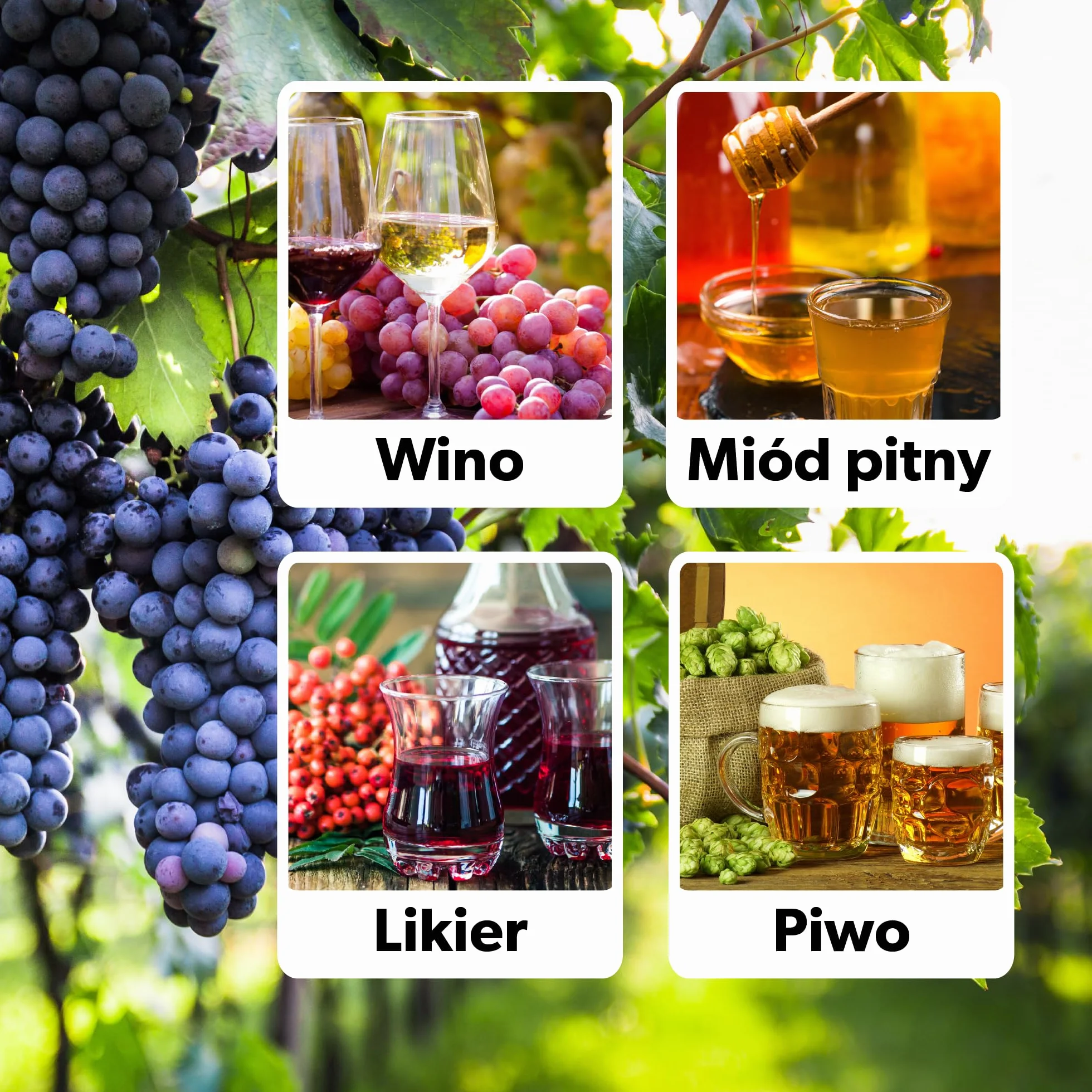 KADAX Zestaw 2 szt. gąsior szklany do wina 5 l z koszem ochronnym, fermentacyjny, do nastawu i przechowywania, stabilny i łatwy w czyszczeniu