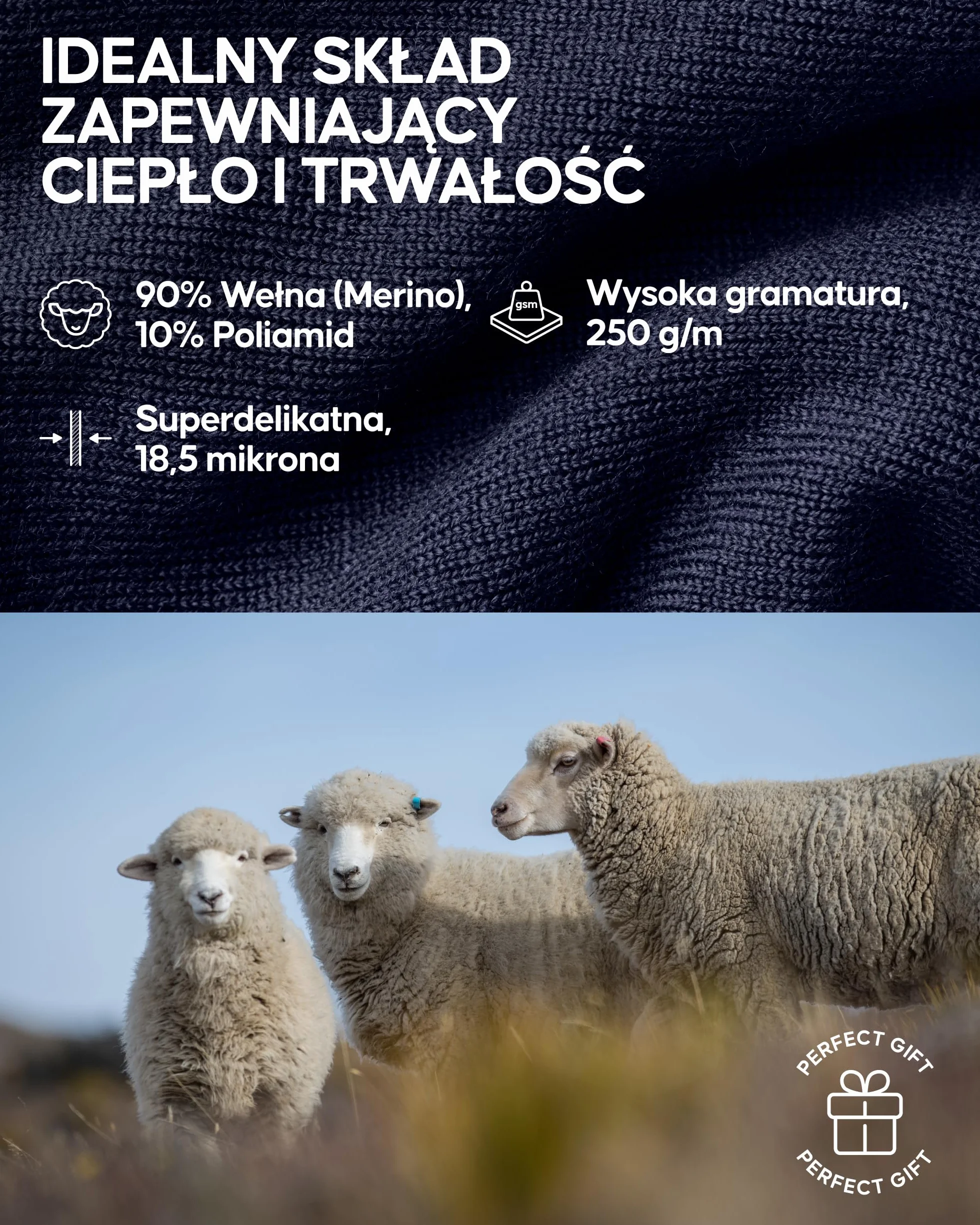 DANISH ENDURANCE Męska Bielizna Termoaktywna Merino na Ekstremalne Zimno, Długie Kalesony Męskie, Termoaktywna Bluza Zimowa