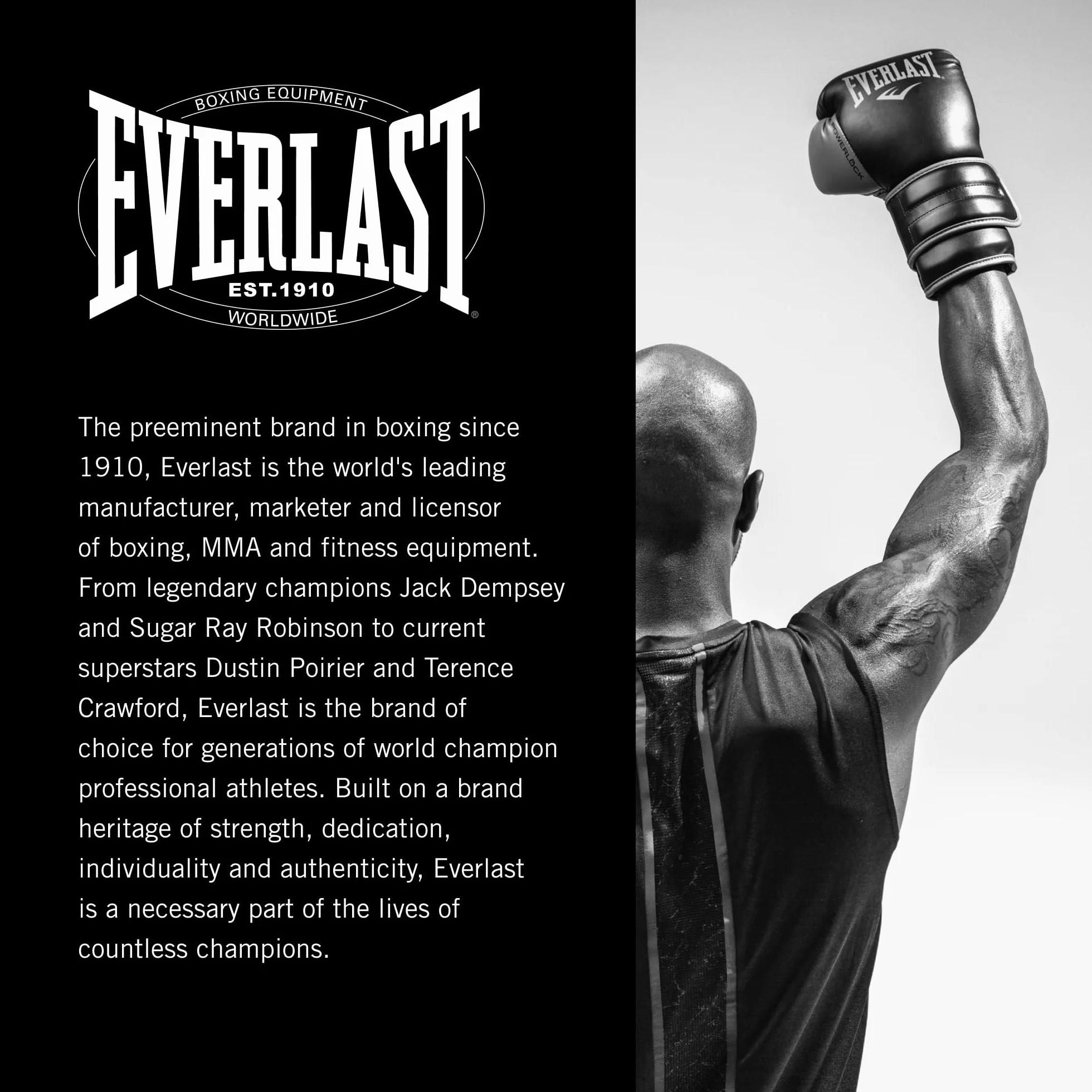 Everlast Elite V2