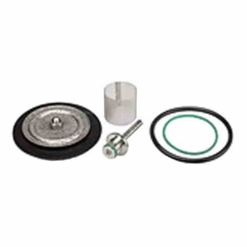 RIEGLER 101205-22.5714.4.16 zestaw części eksploatacyjnych z membraną PTFE, G 1/4, 1 szt