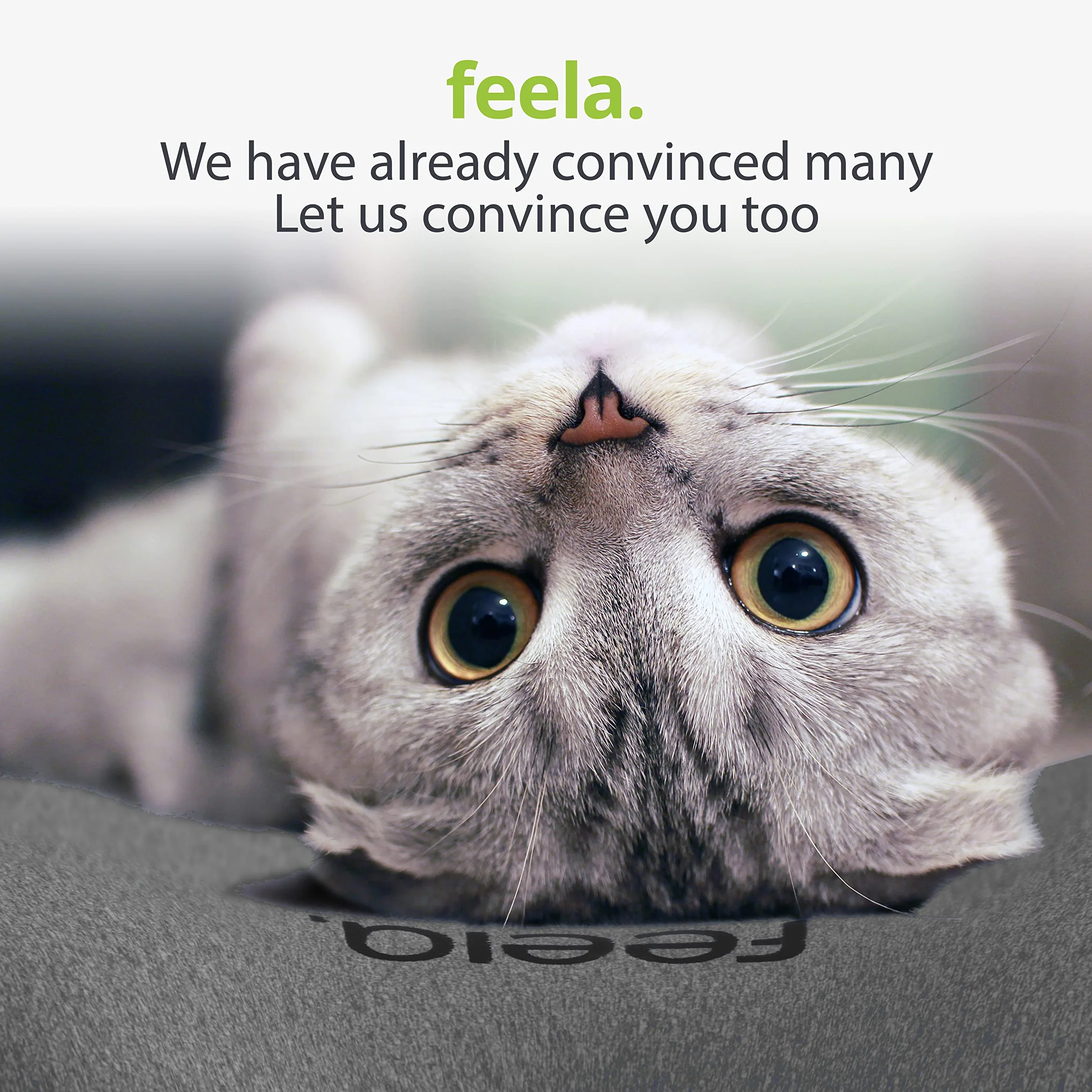 feela.® Ergonomiczne poduszki na plecy | Poduszka lędźwiowa do krzeseł standardowych, krzeseł do gier i krzeseł biurowych | Poduszka z pianki memory – łagodzi ból pleców i poprawia postawę