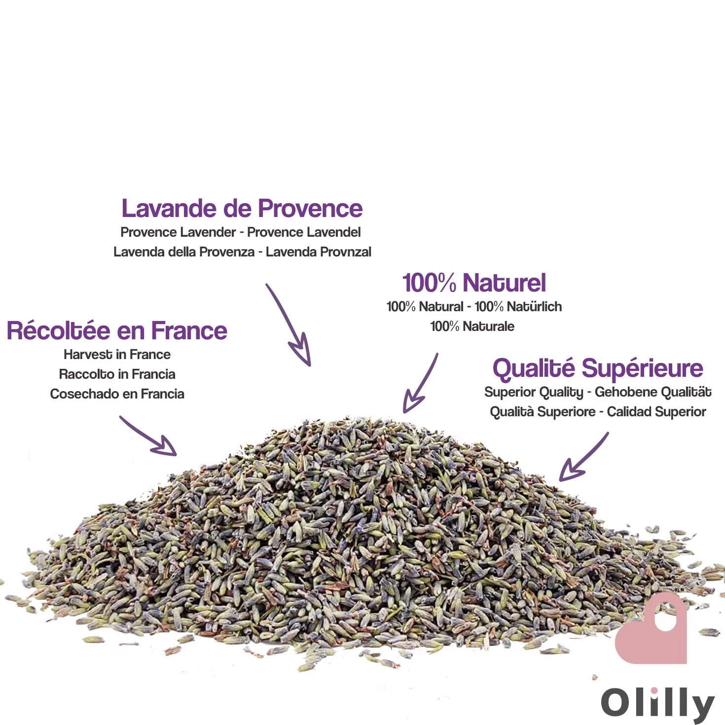 OLILLY Suszone kwiaty lawendy z Prowansji Lavandin Grosso 1 kg