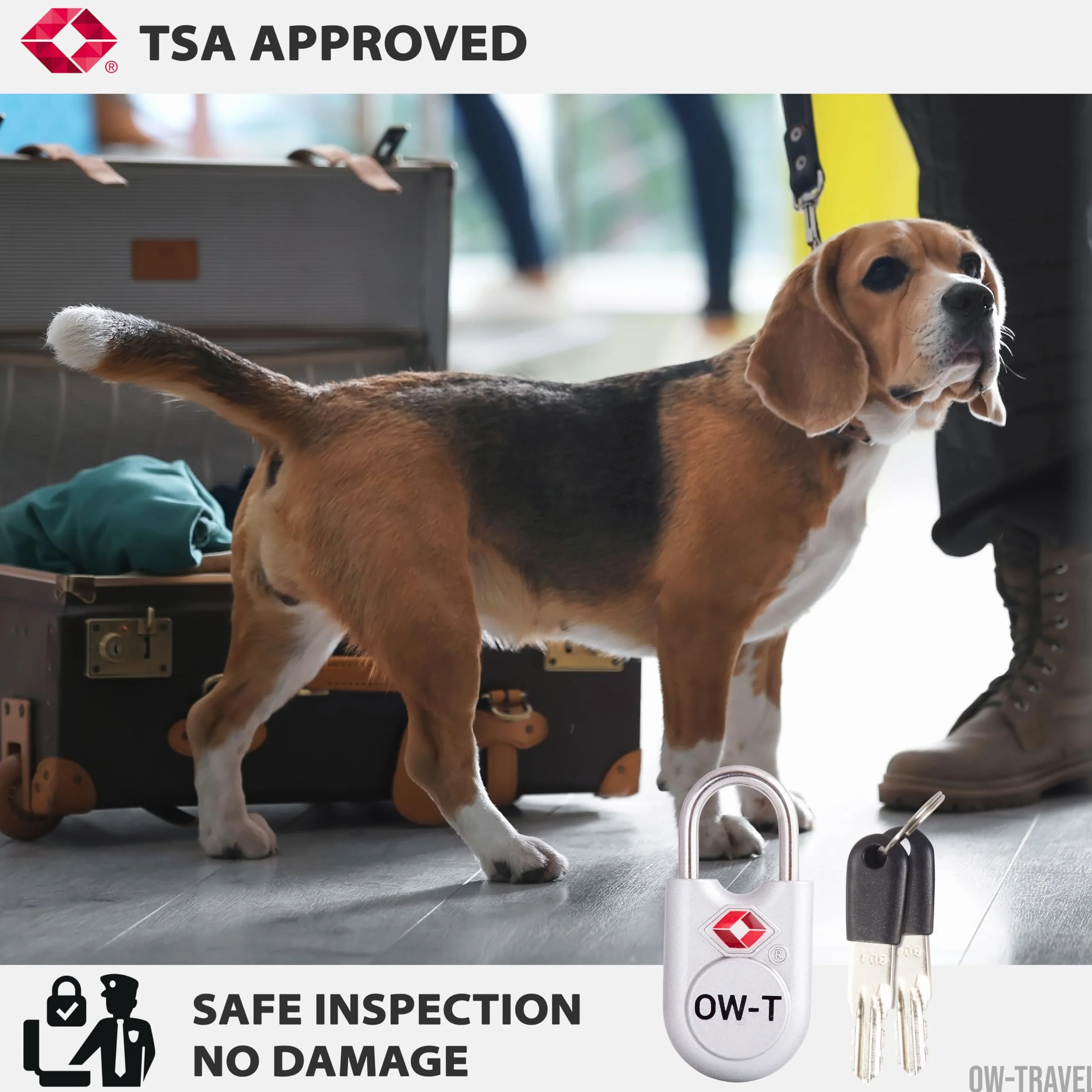 OW-Travel TSA Kłódka z Kluczykiem ​(Zestaw 2 Silver) Zamki Bagażowe na Klucz. Wytrzymałe Kłódki Bagażowe z Zamkiem na Klucz do Bagażu, Torby, Walizki, Plecaka, Szafki na Siłowni
